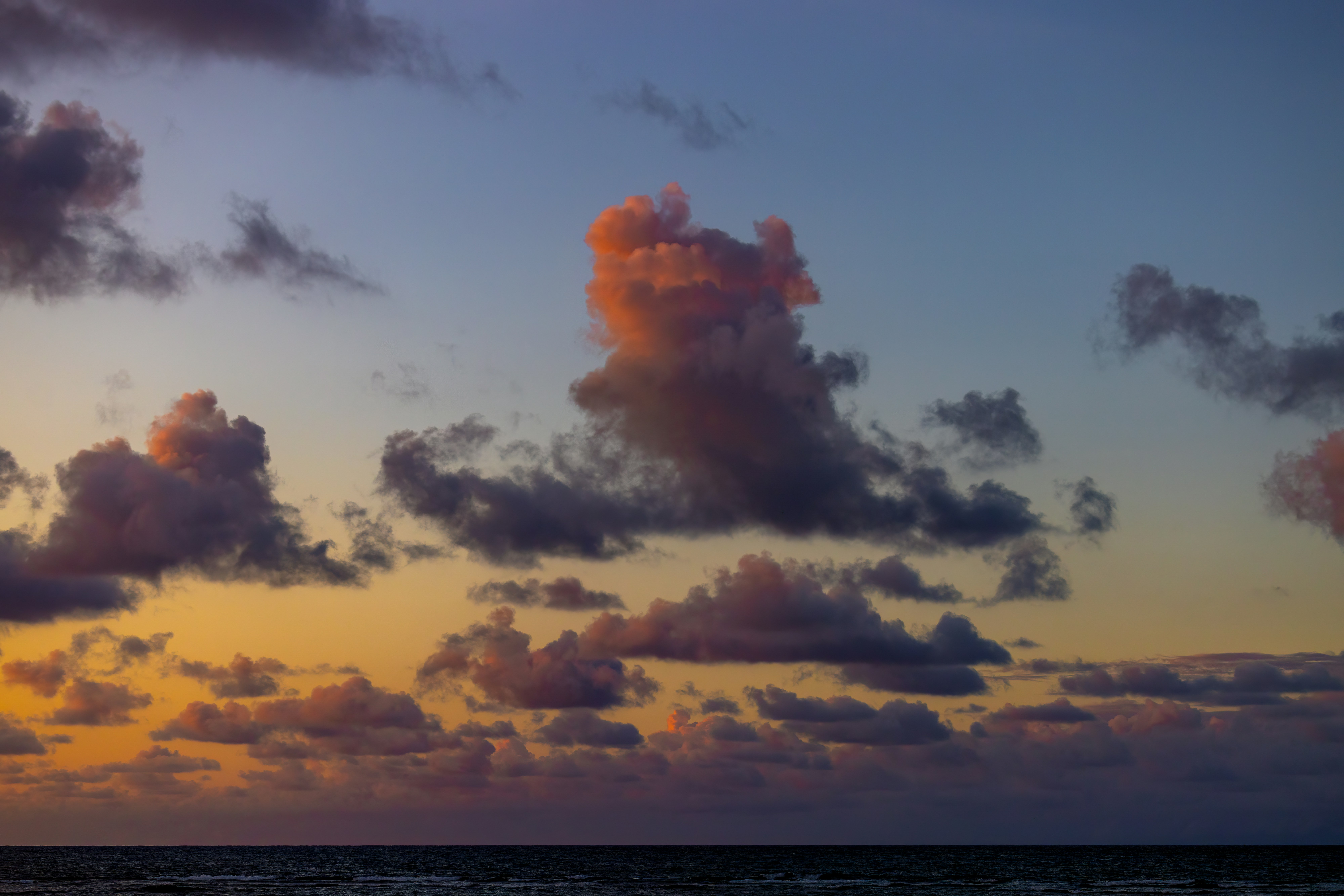 Photo by casunshine0508