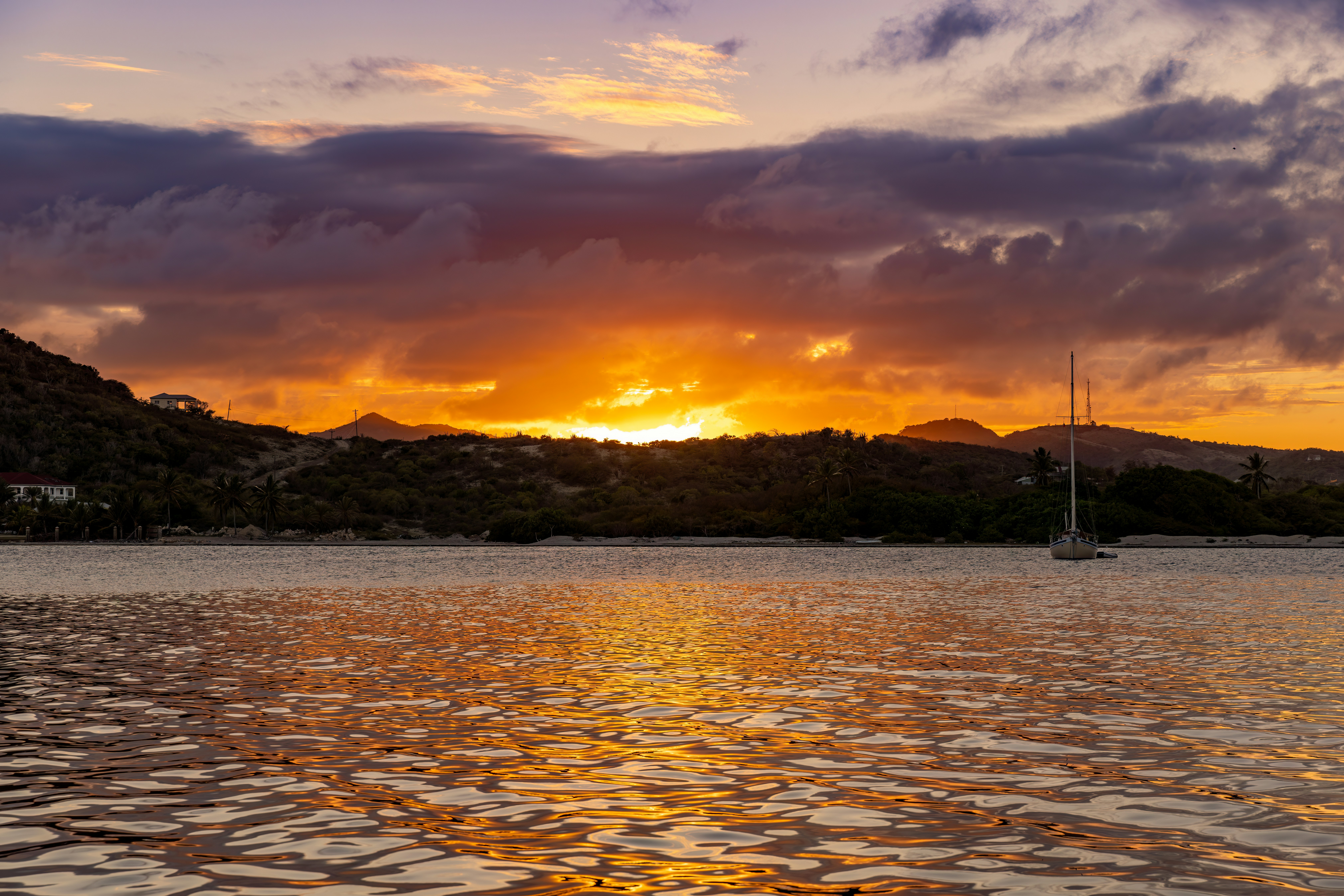 Photo by casunshine0508