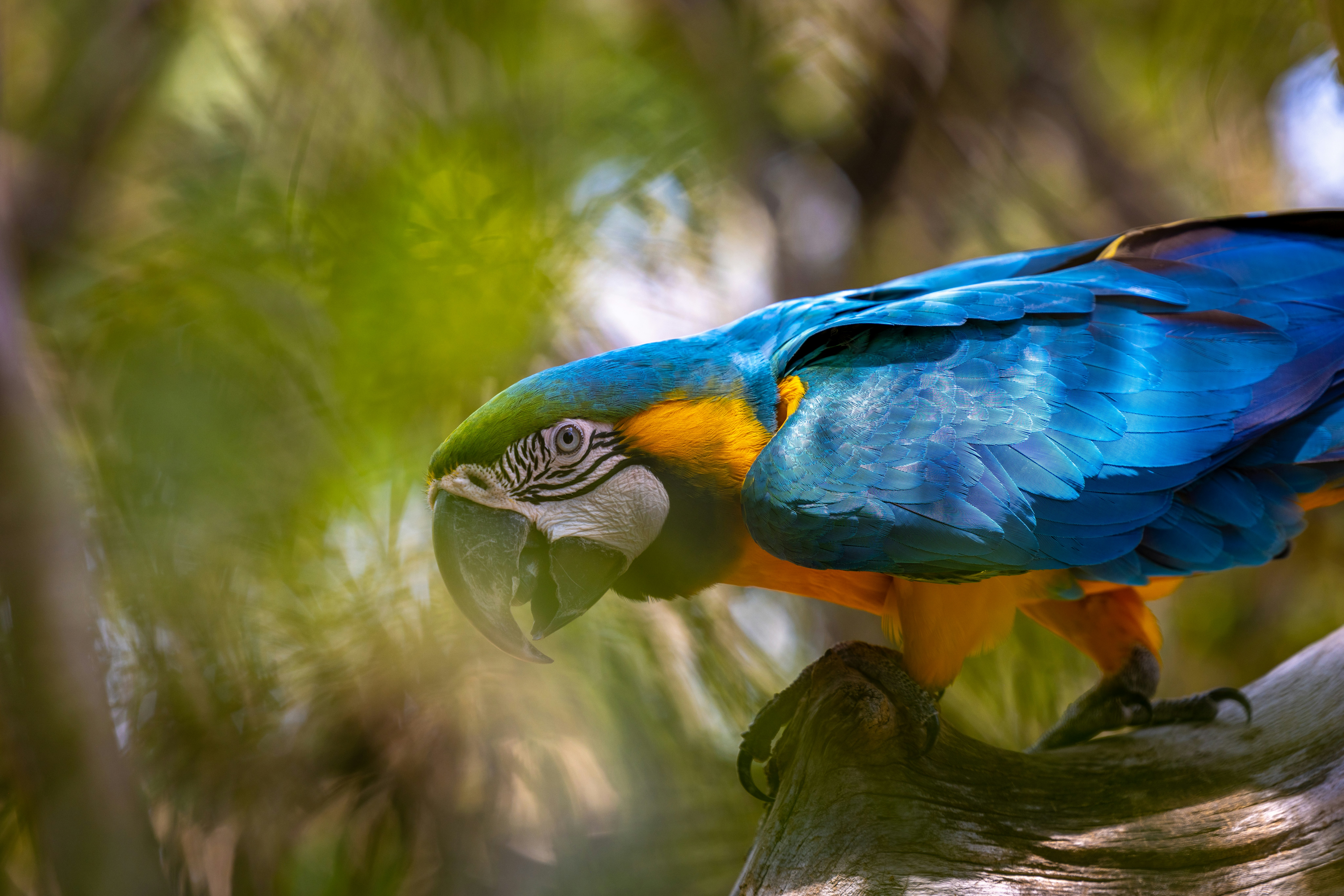 Photo by casunshine0508