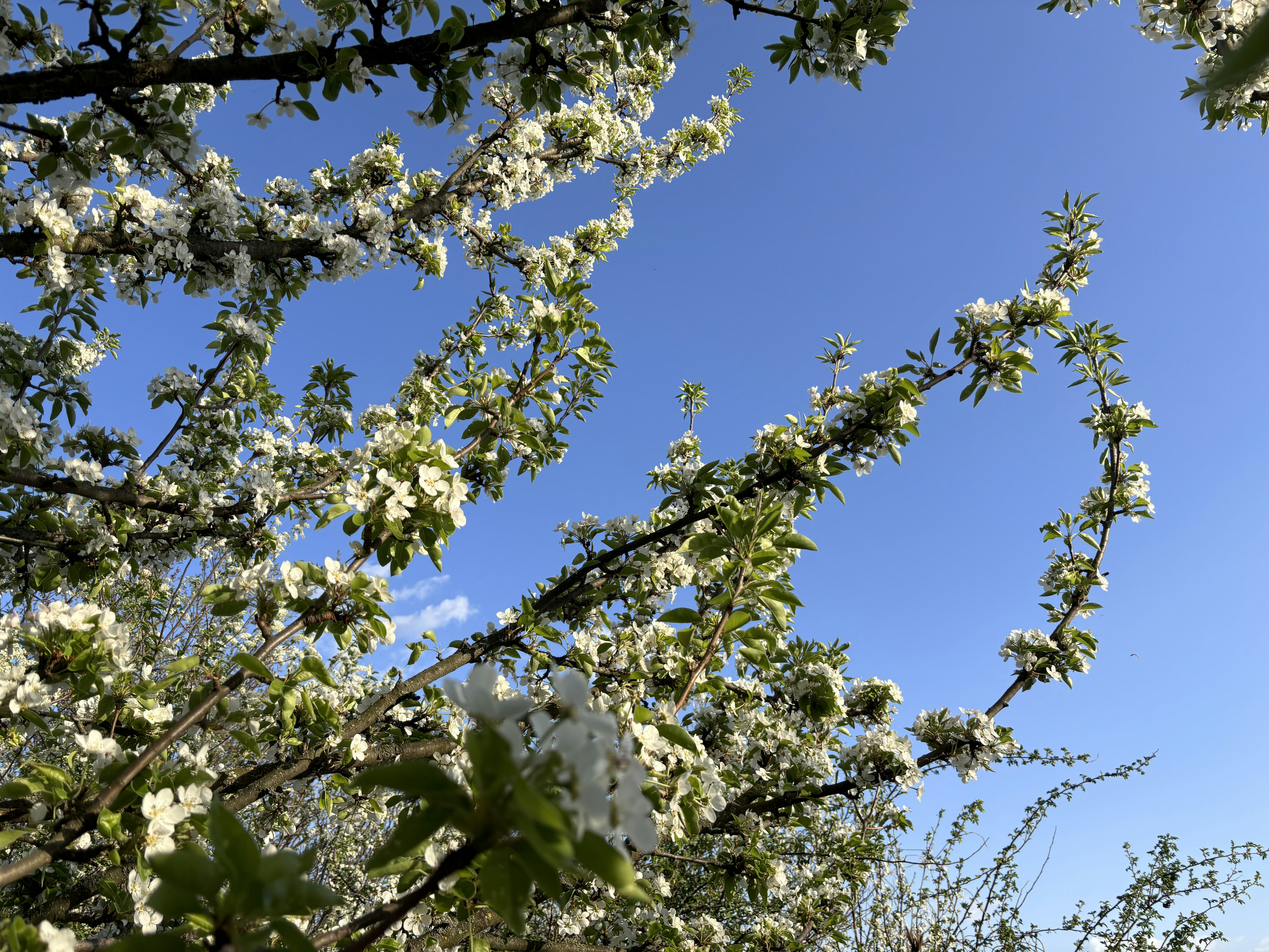 Photo by mariia_pravedna