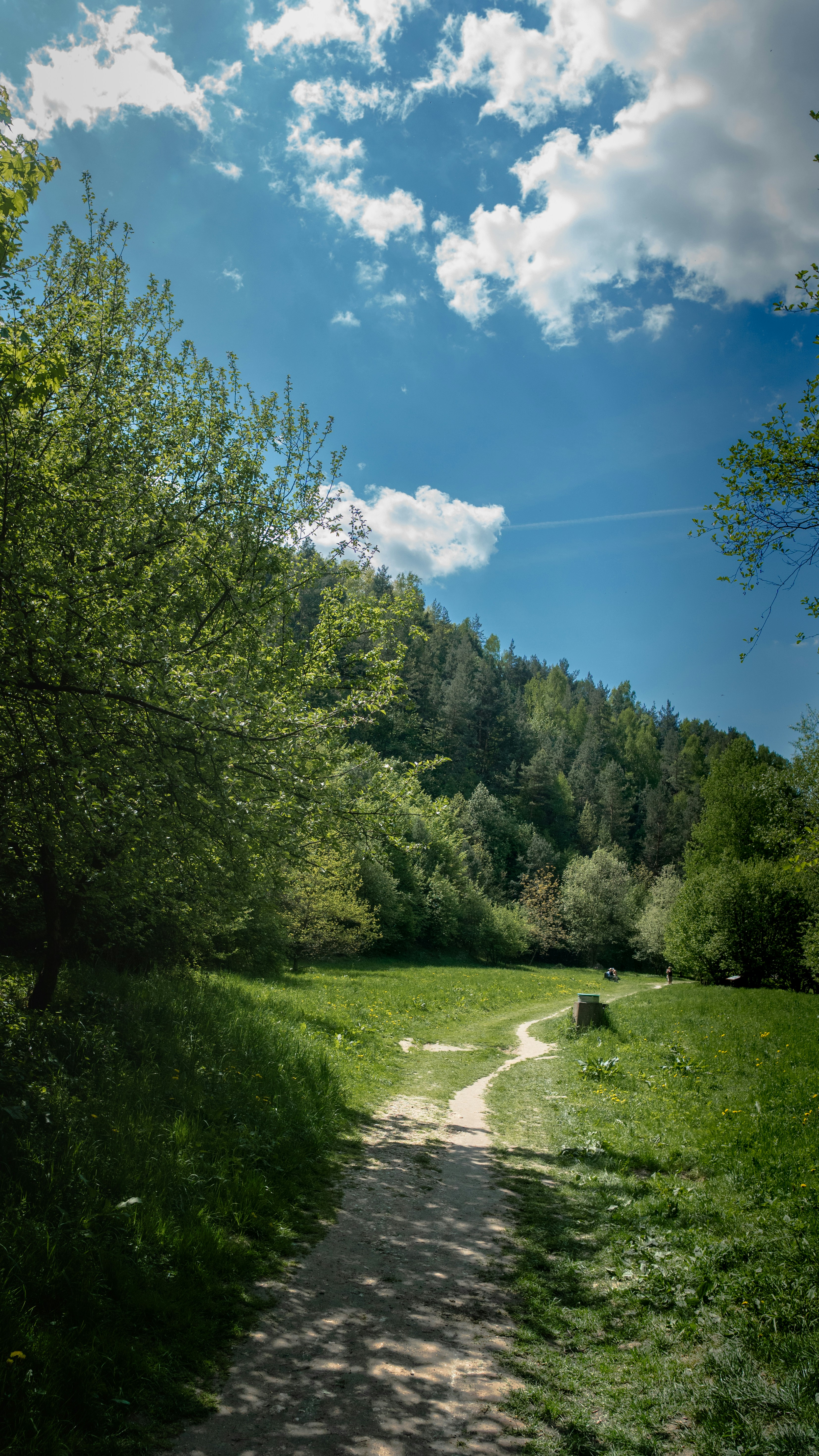 A path winds through a lush green landscape.