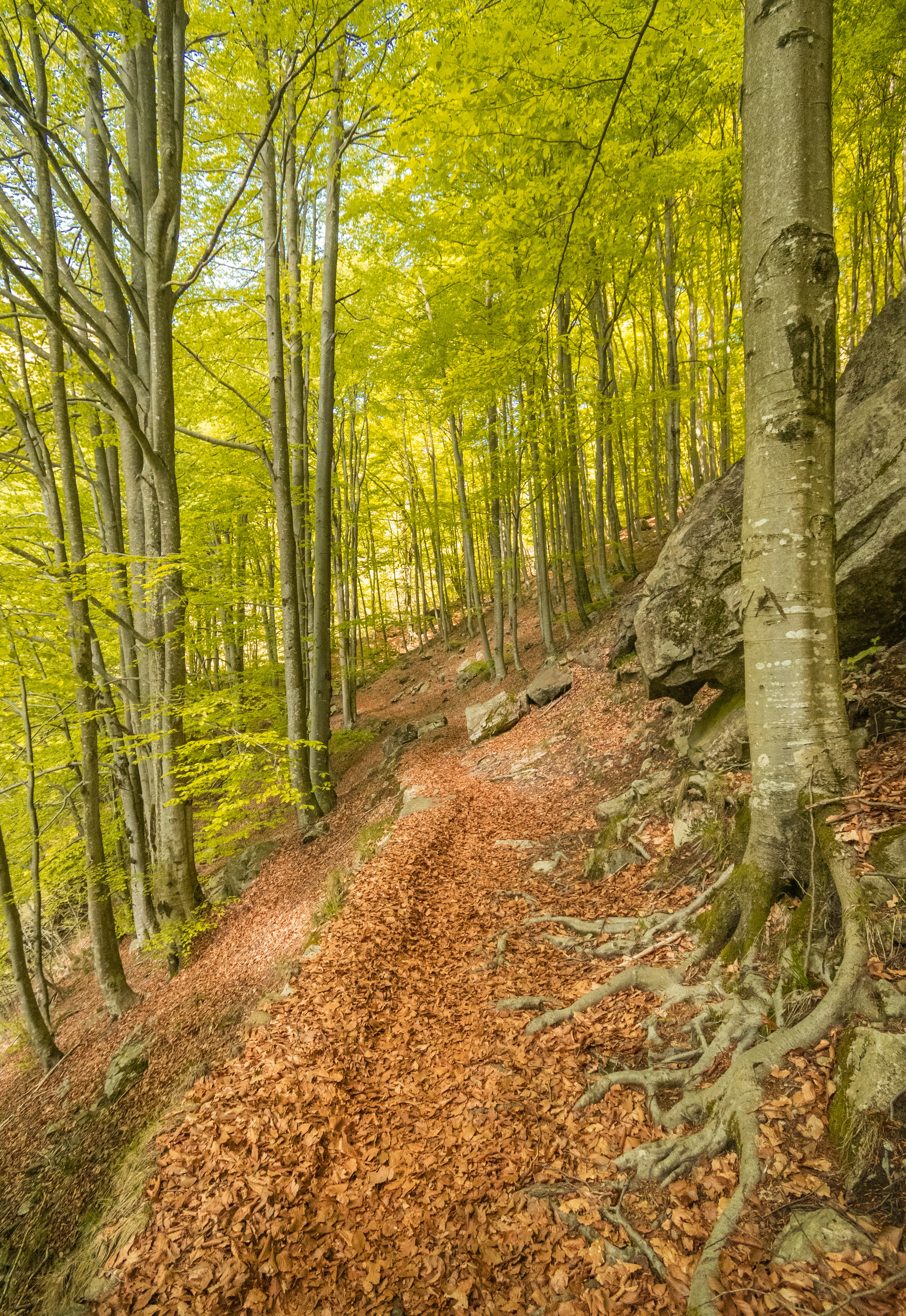 Photo by alessandrarenda