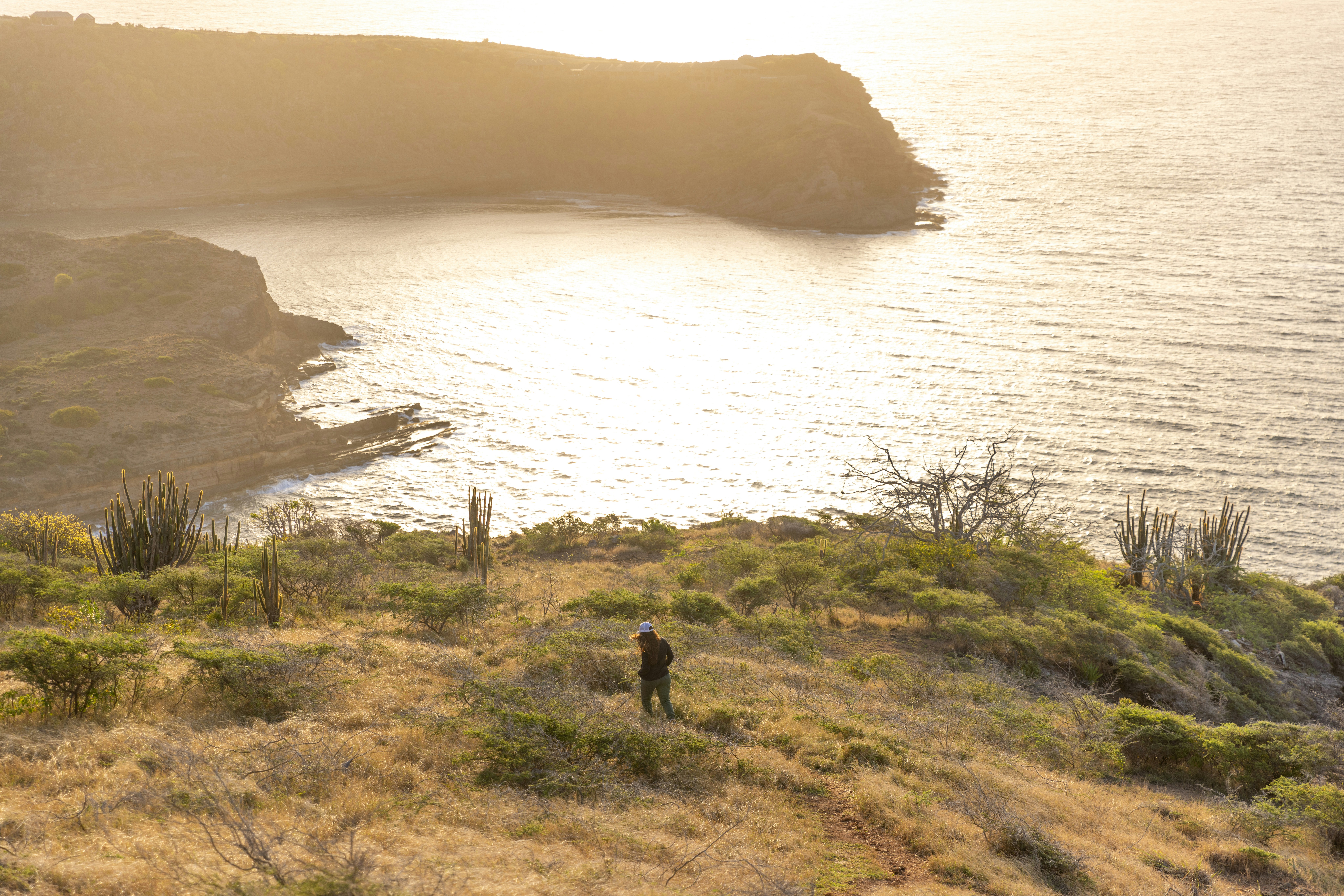 Photo by casunshine0508