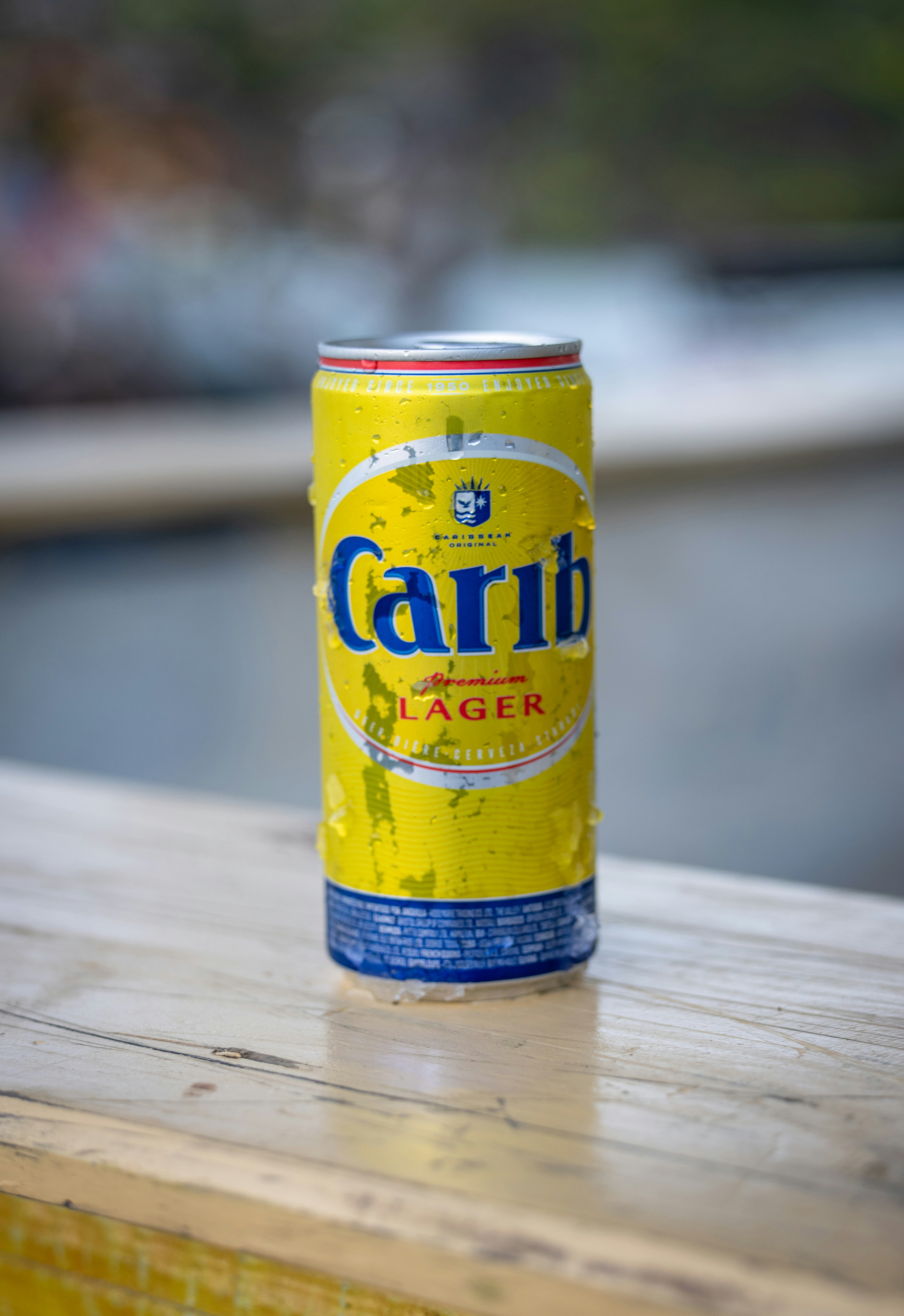 Photo by casunshine0508