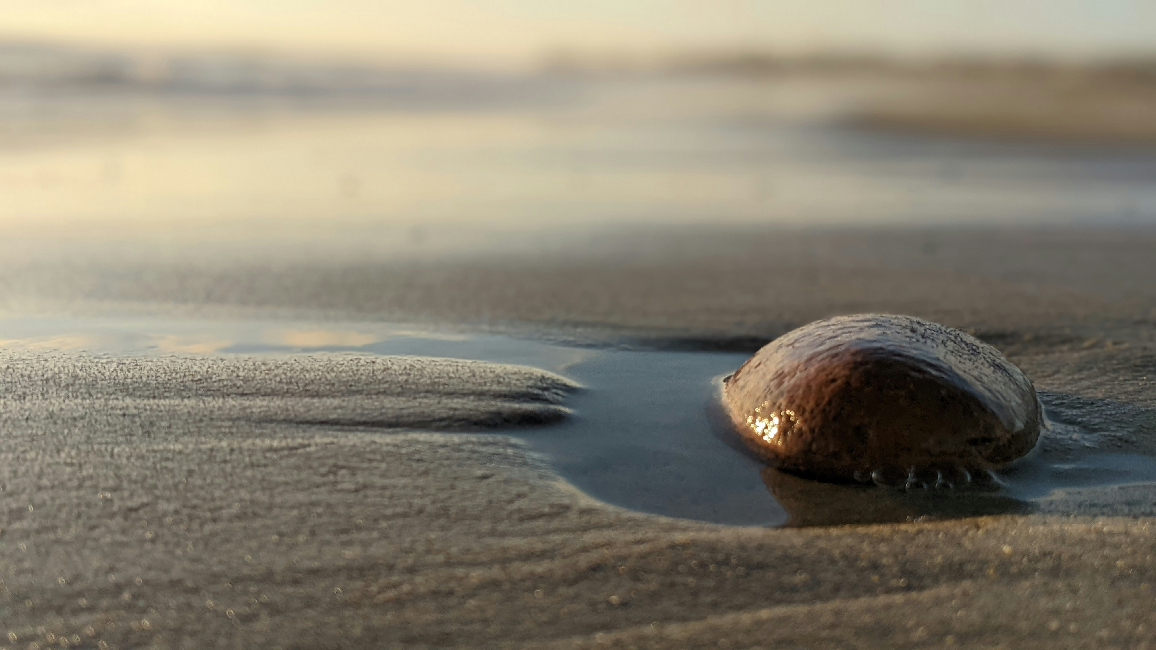 Photo by jim_moriarty