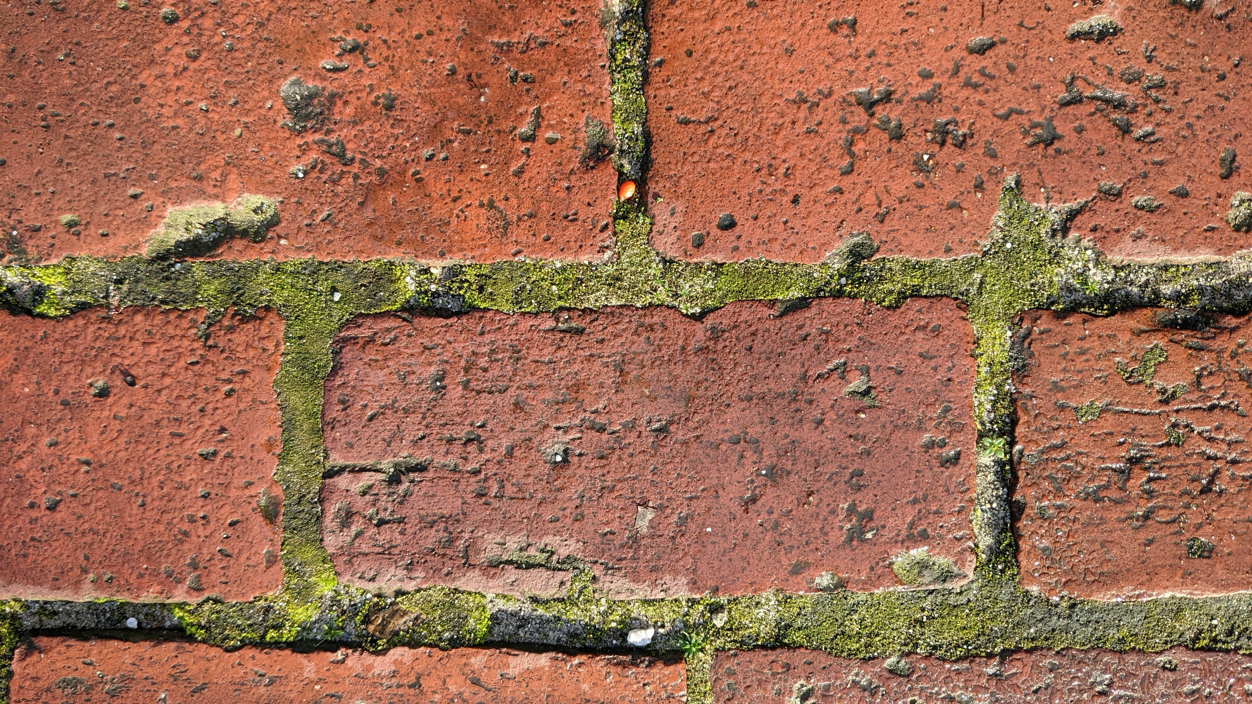 Photo by jim_moriarty