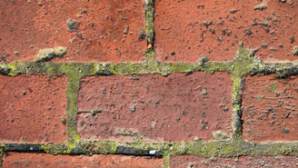 Close-up shows aged bricks and mortar.