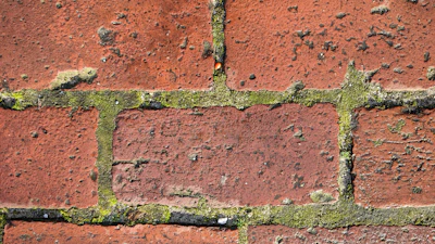 Close-up shows aged bricks and mortar.