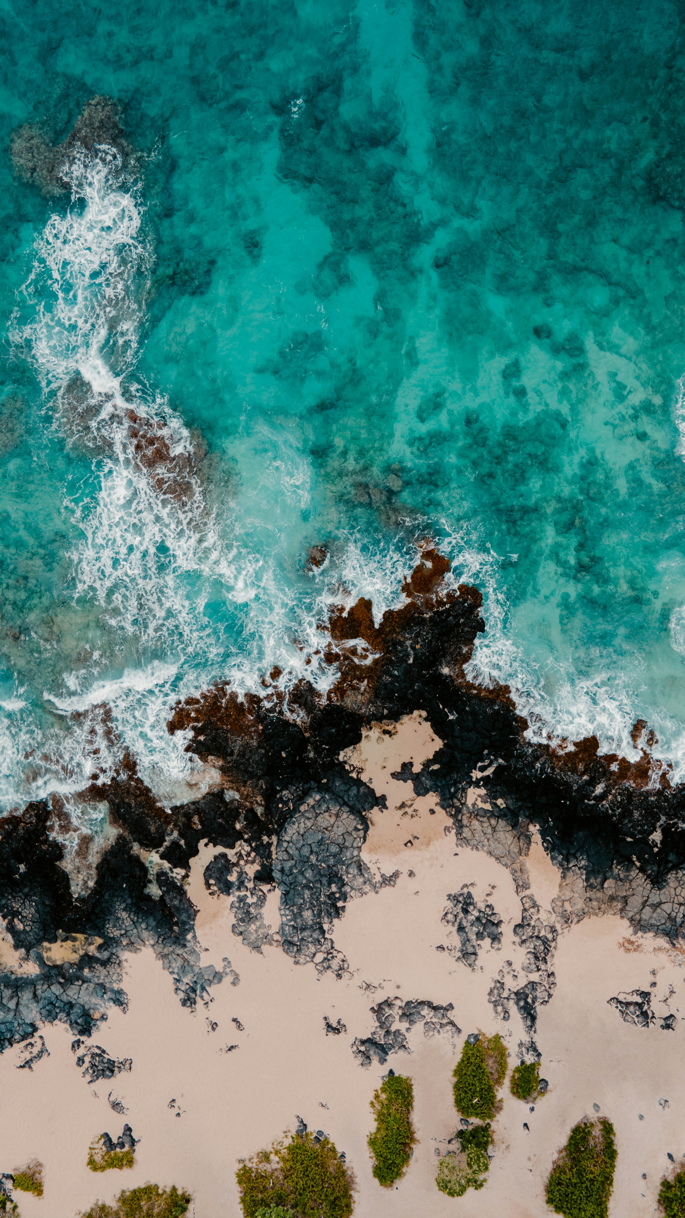 Photo by casunshine0508