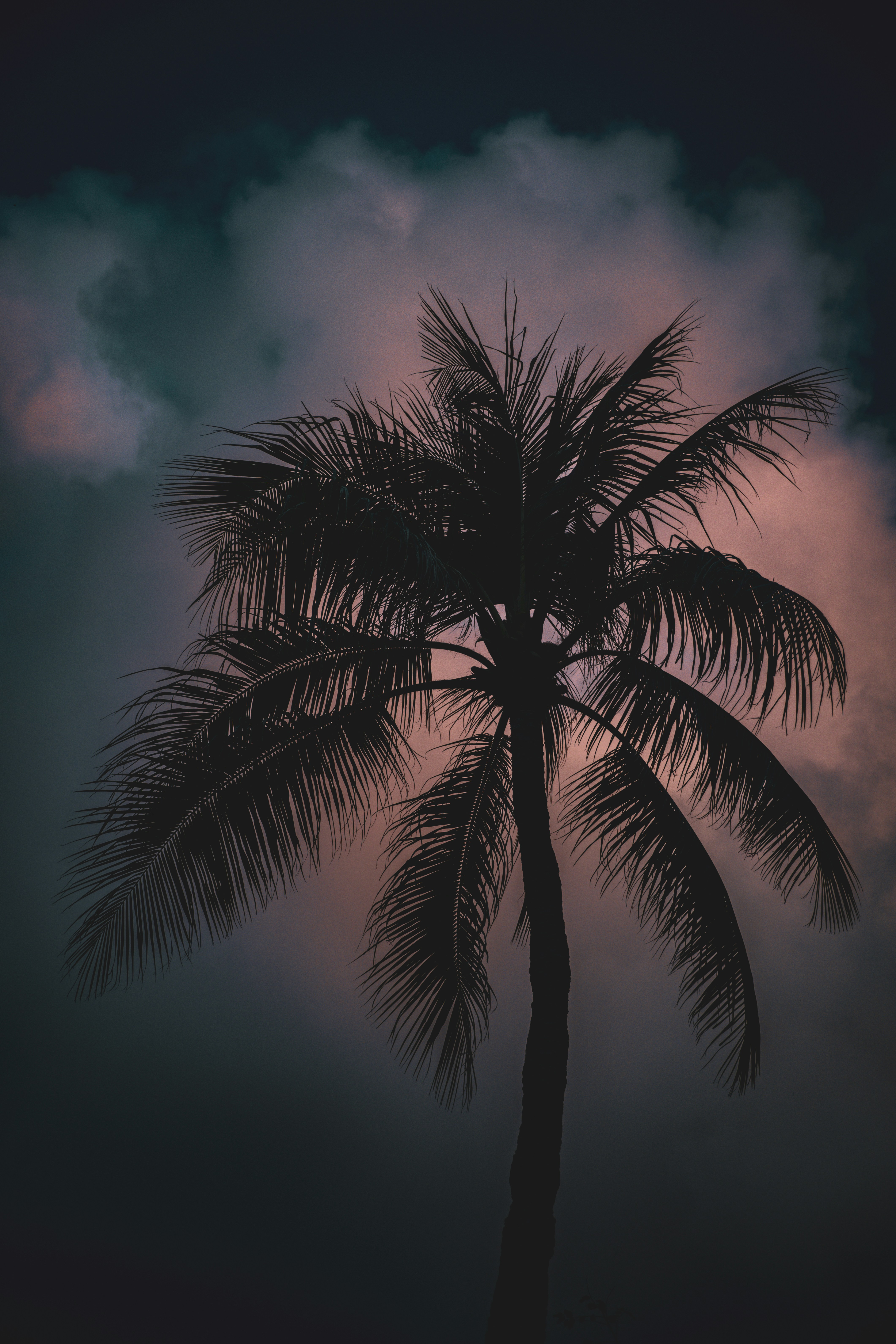 Photo by casunshine0508