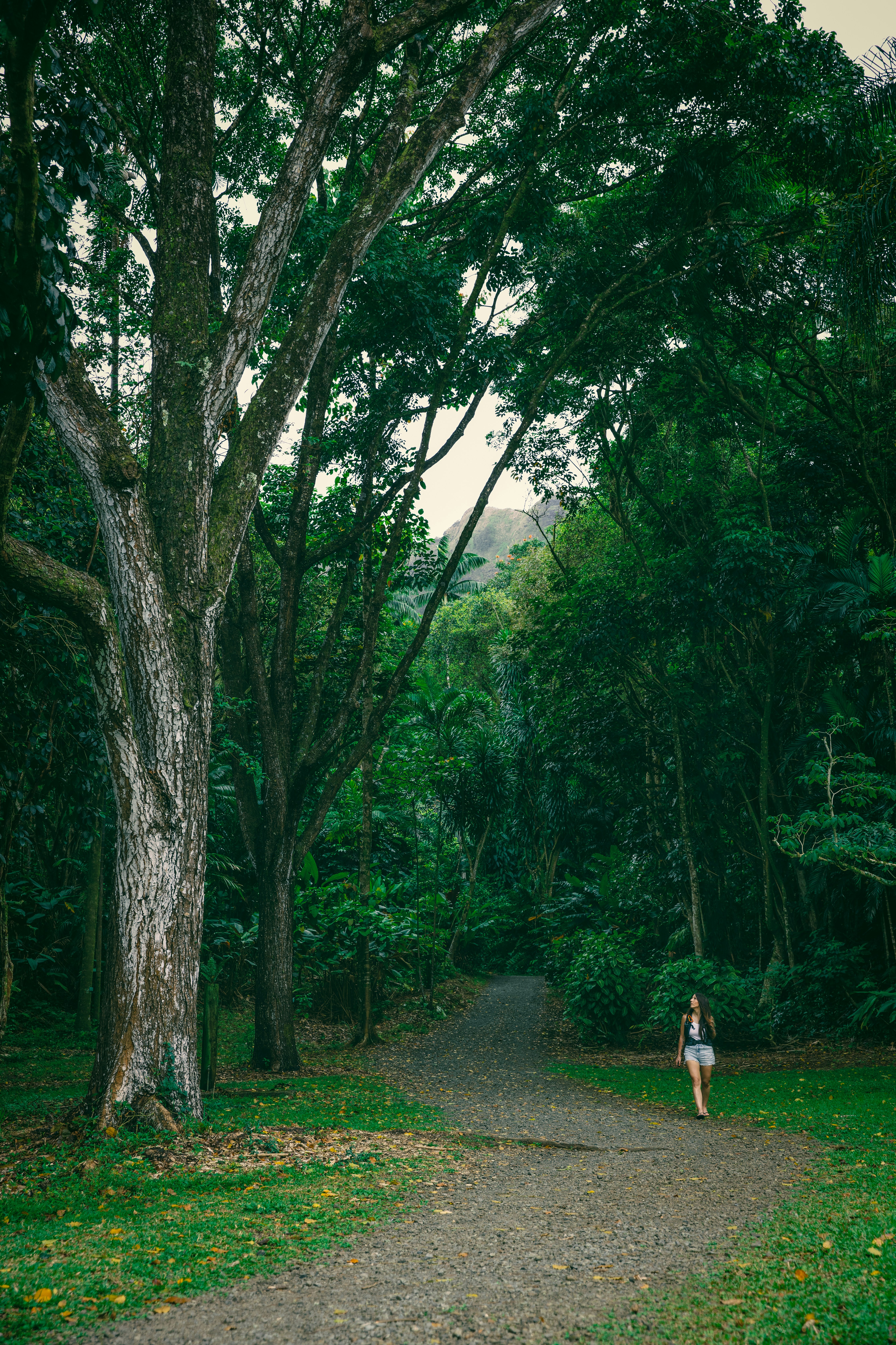 Photo by casunshine0508