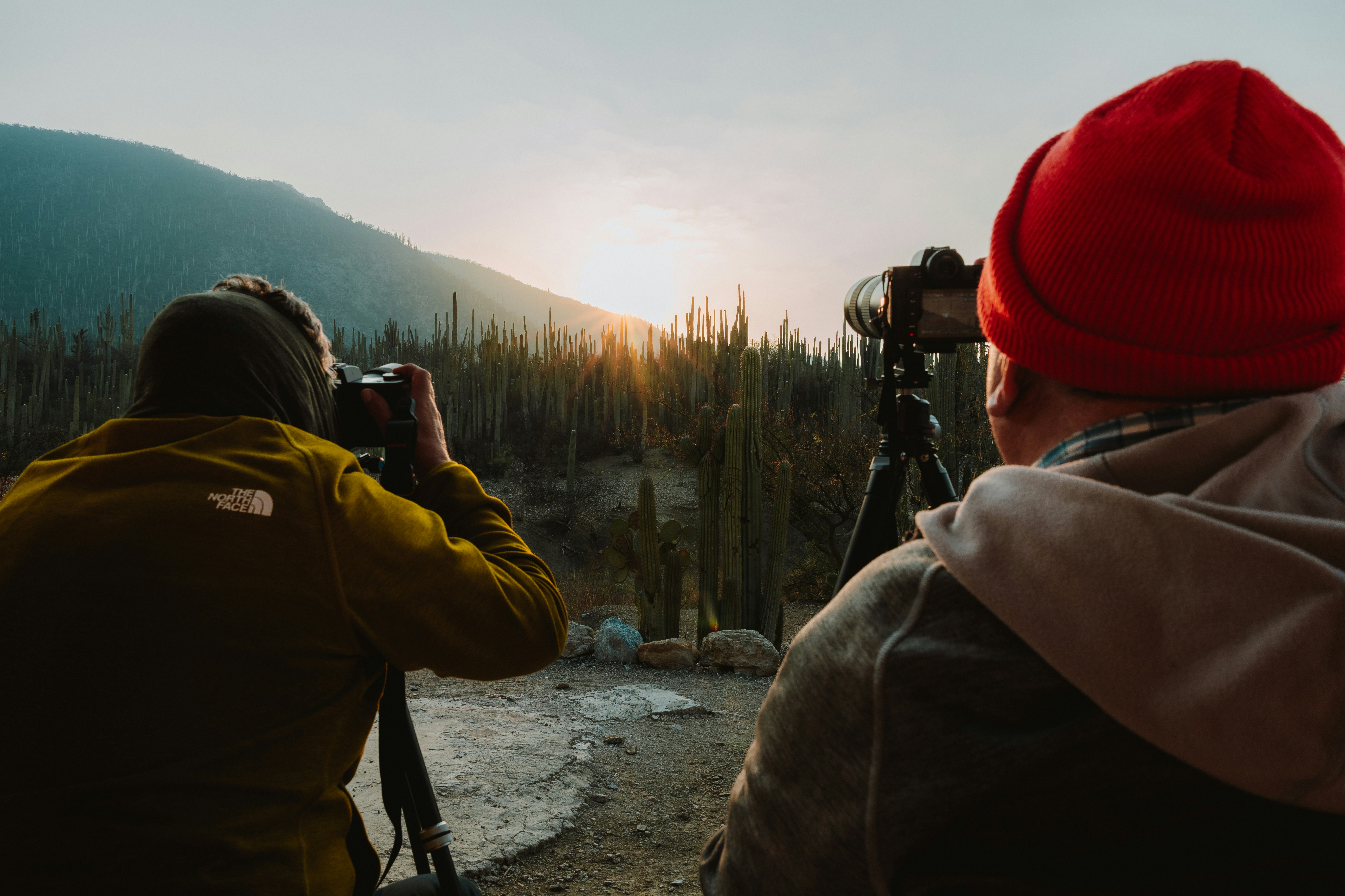 Документальная съёмка в естественной среде