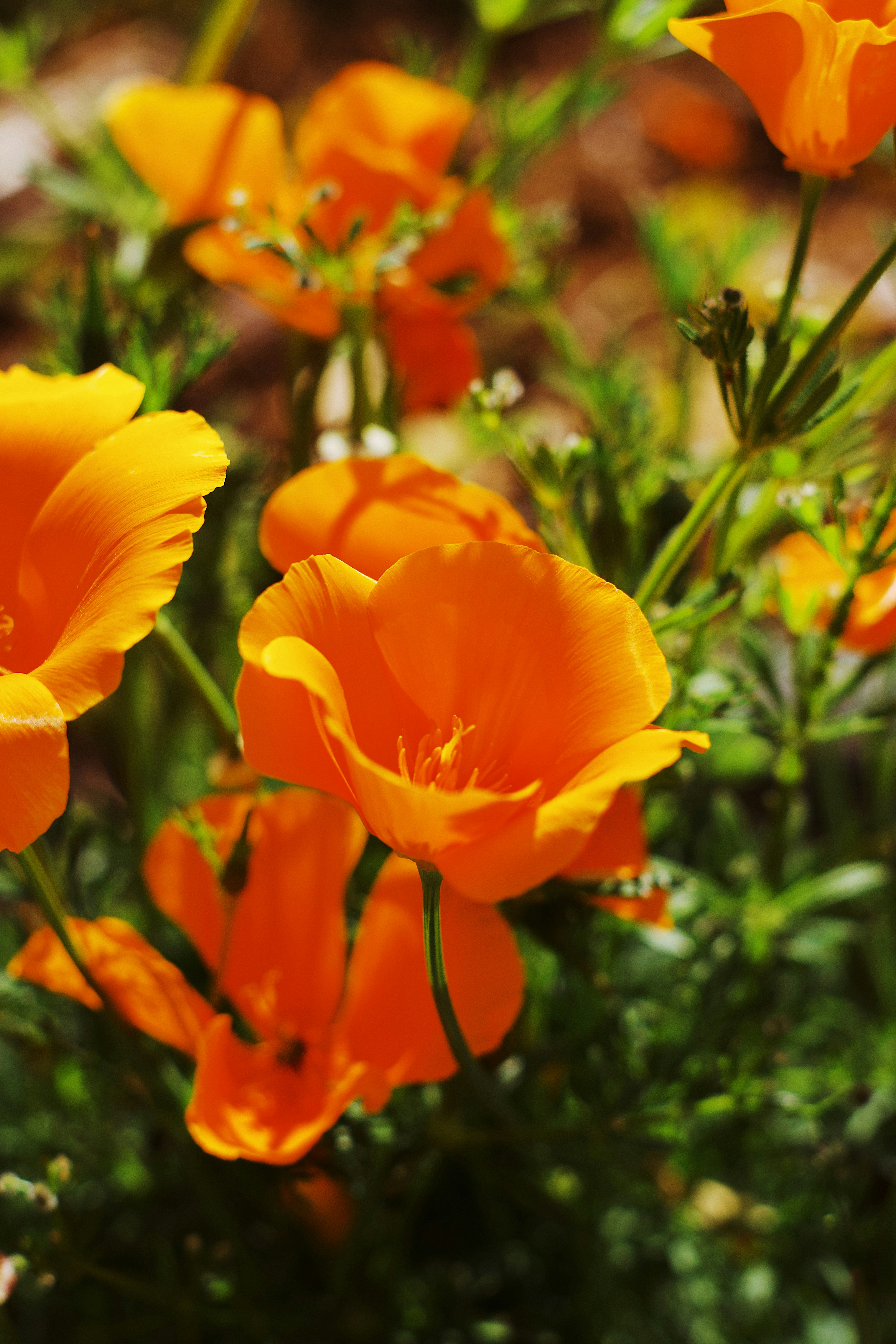 Photo by christopherstites