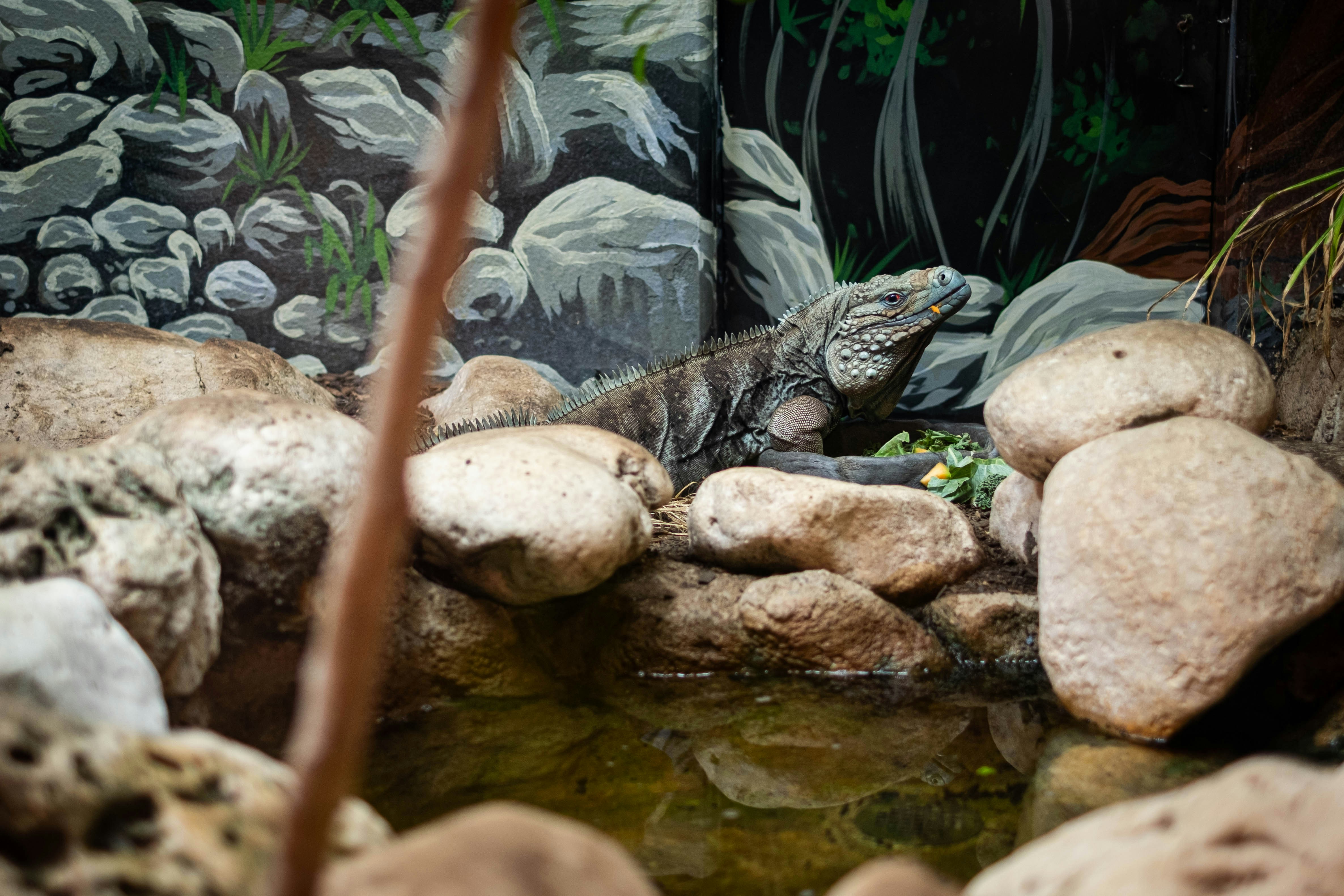 Photo by lanceanderson