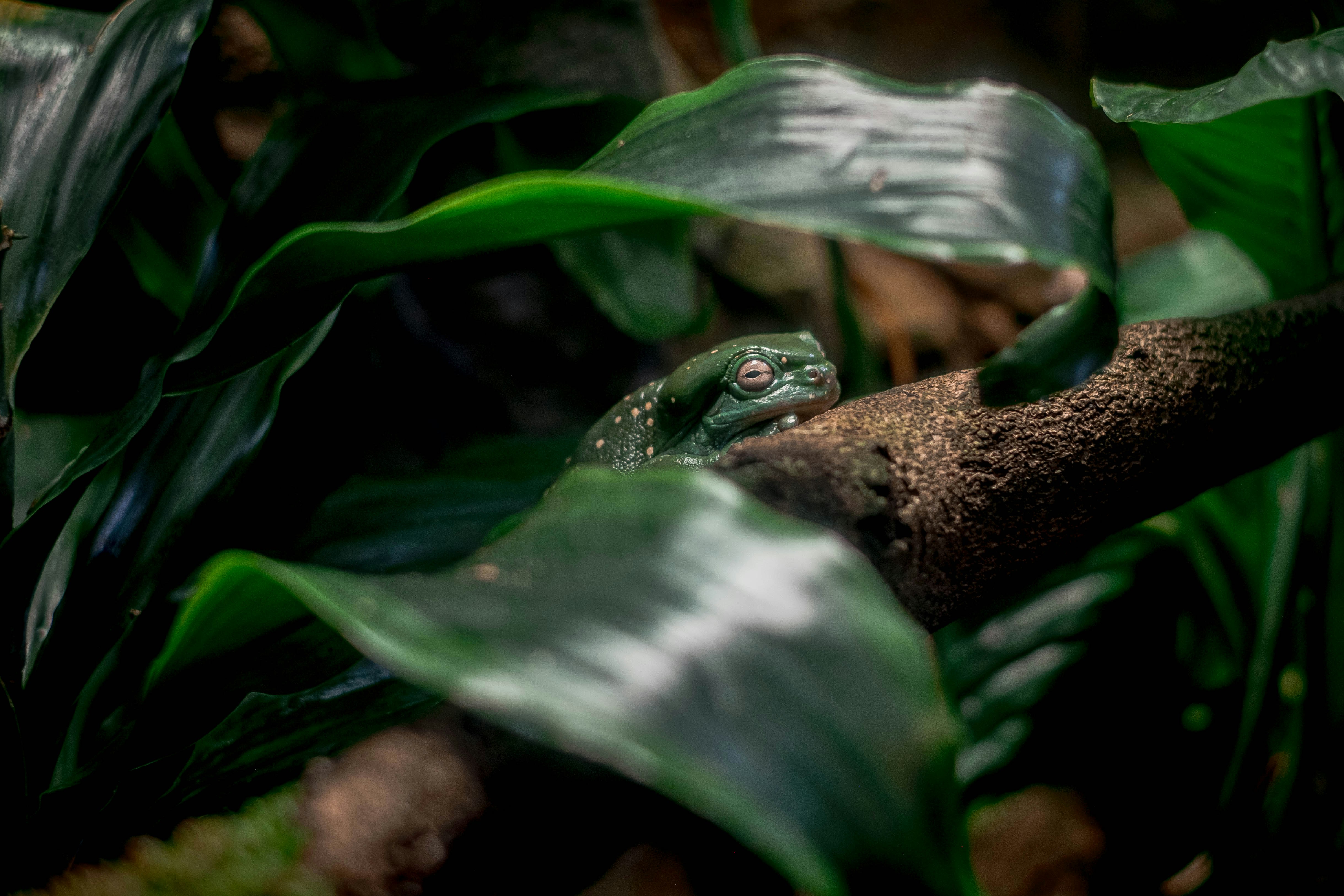 Photo by lanceanderson