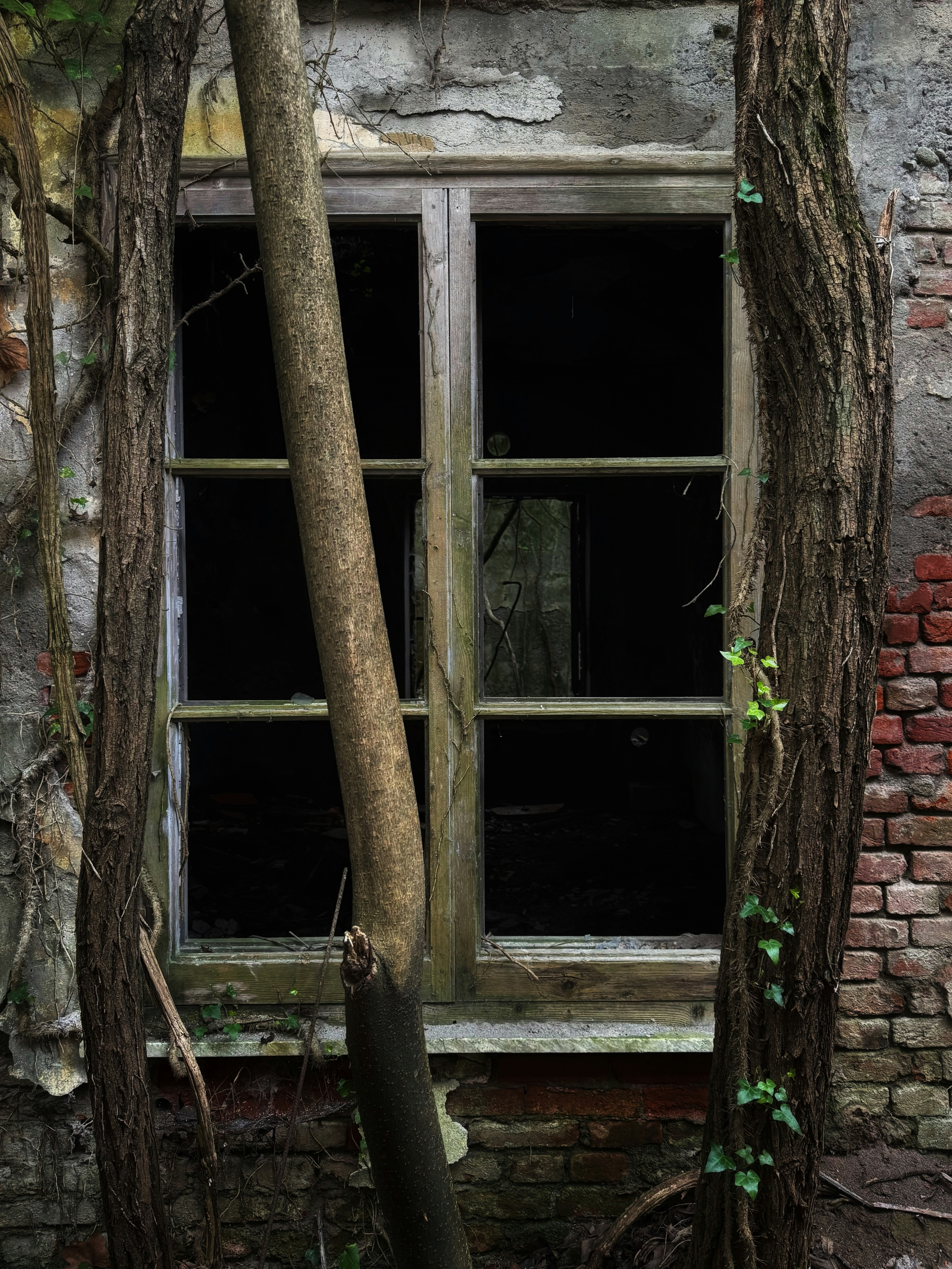 Photo by maett_hades