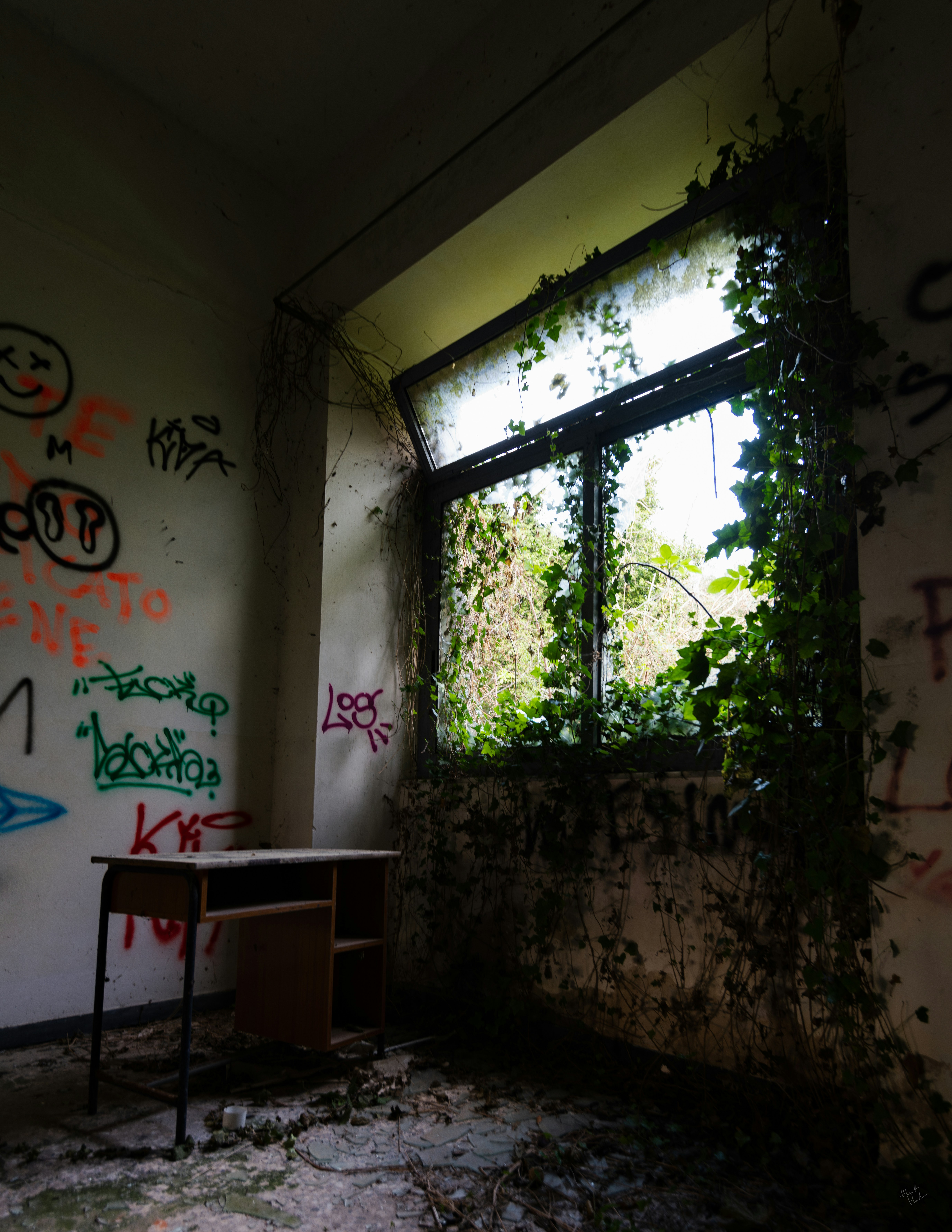 Photo by maett_hades