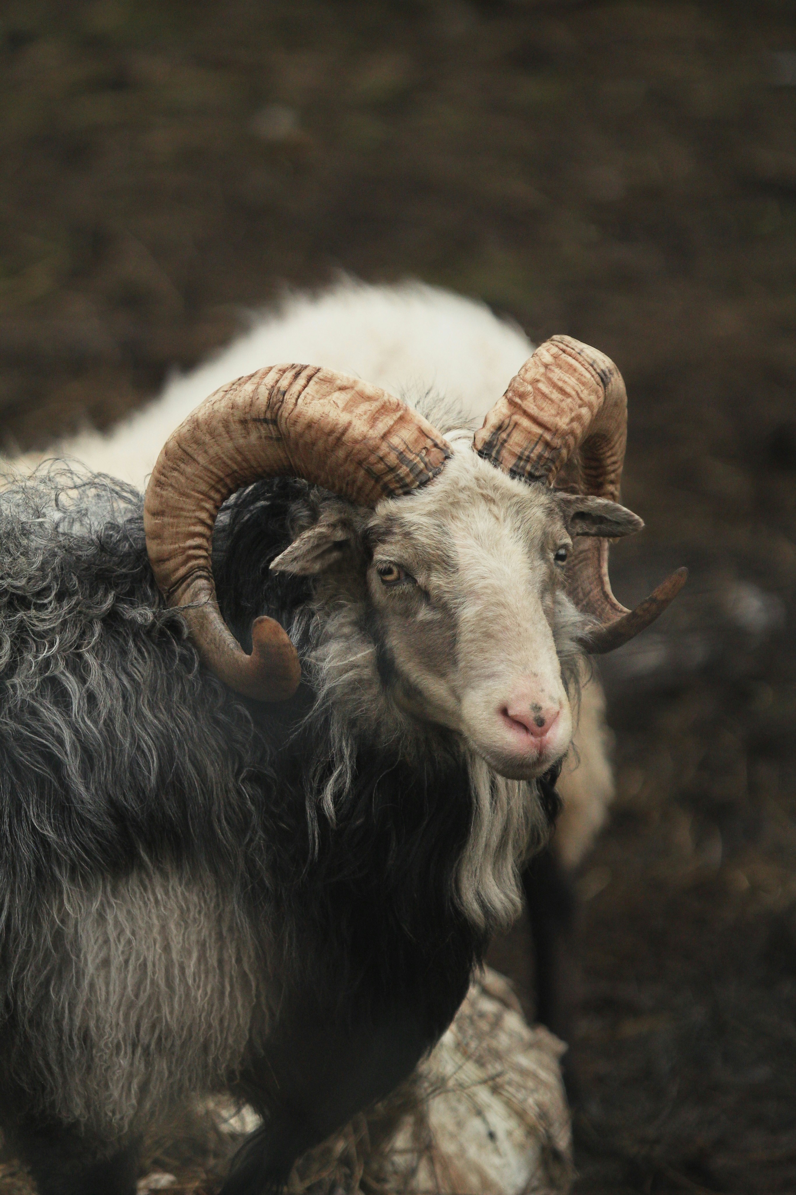 Photo by kristinokarlsen