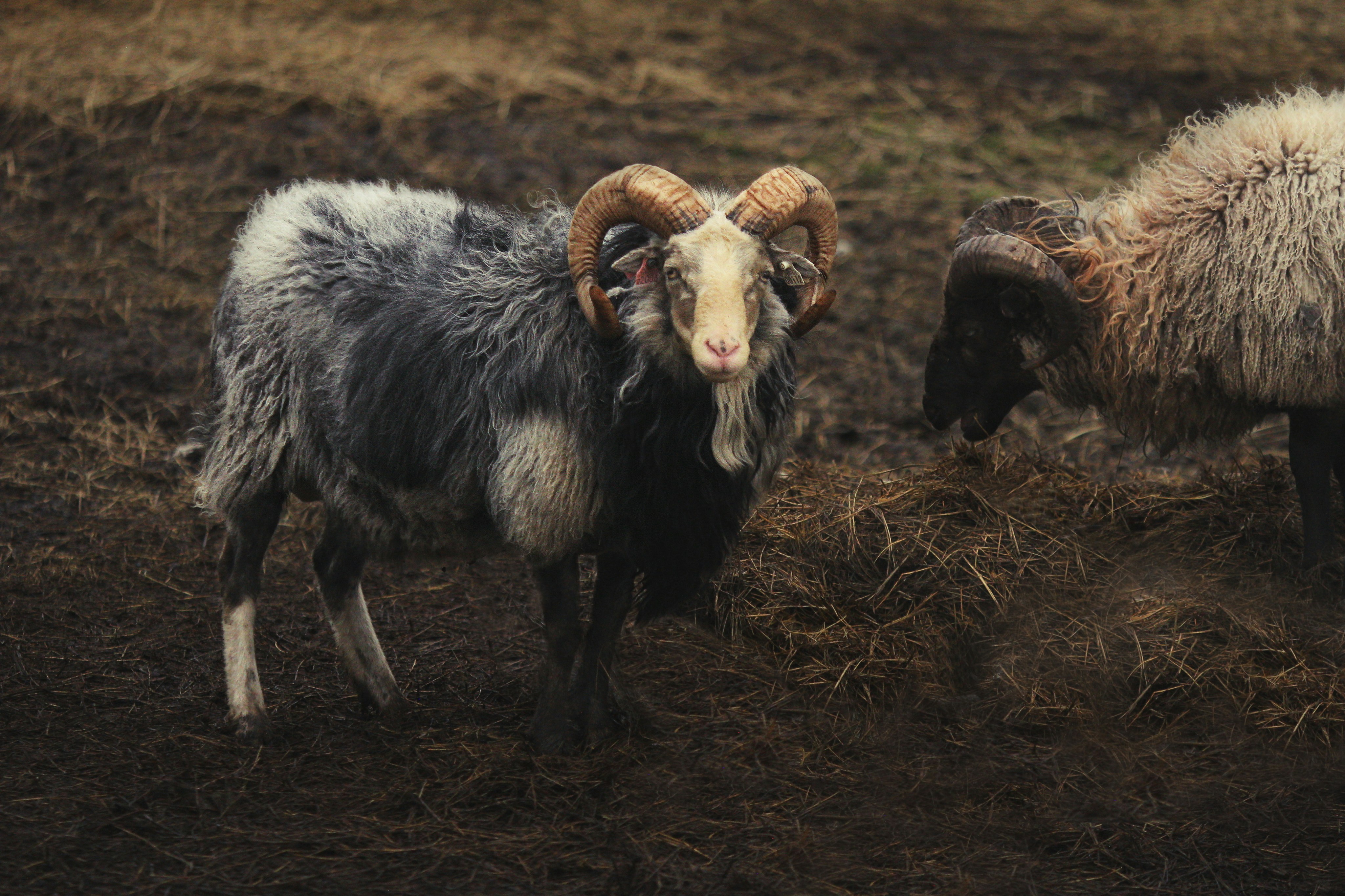 Photo by kristinokarlsen