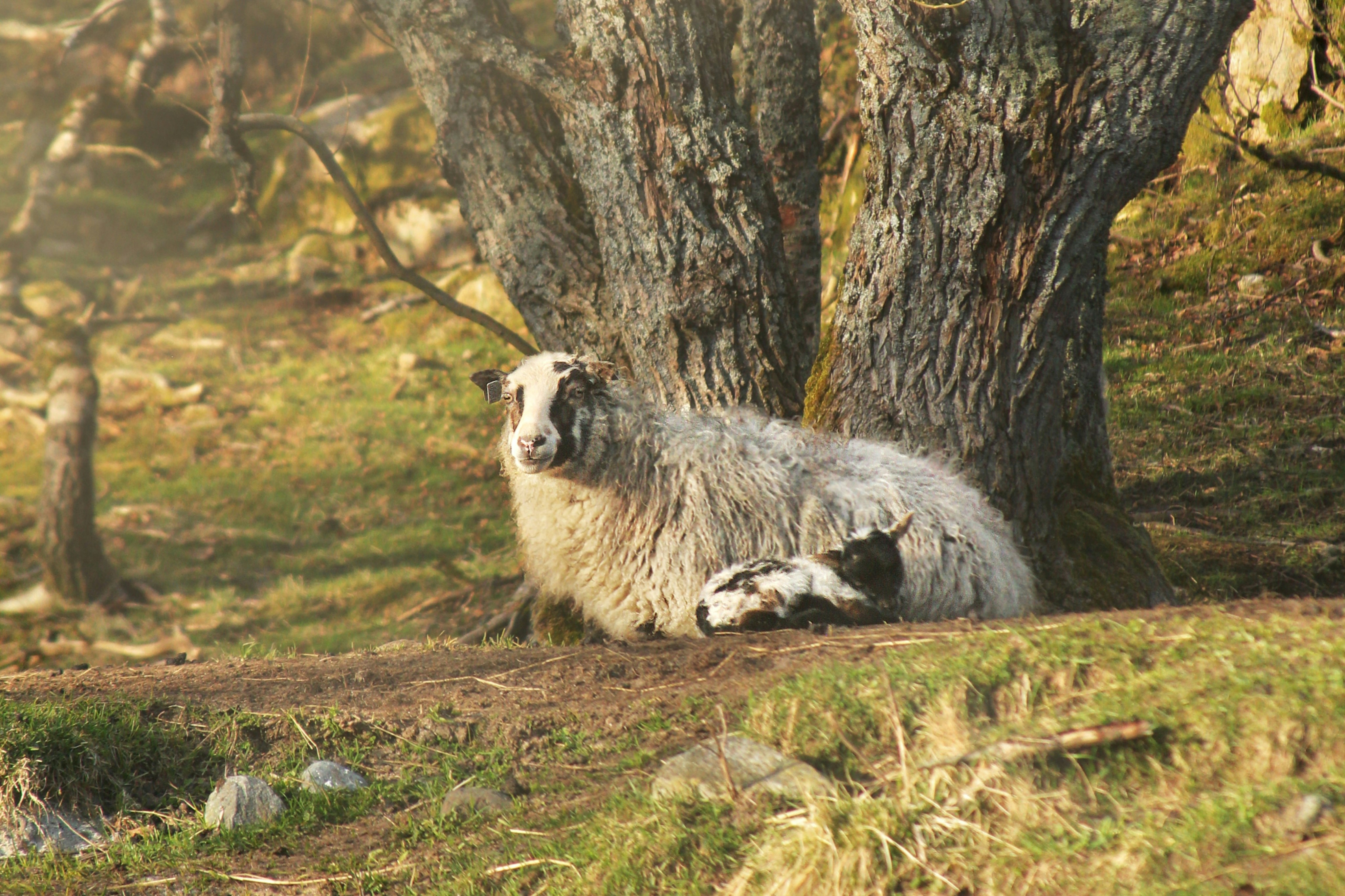 Photo by kristinokarlsen