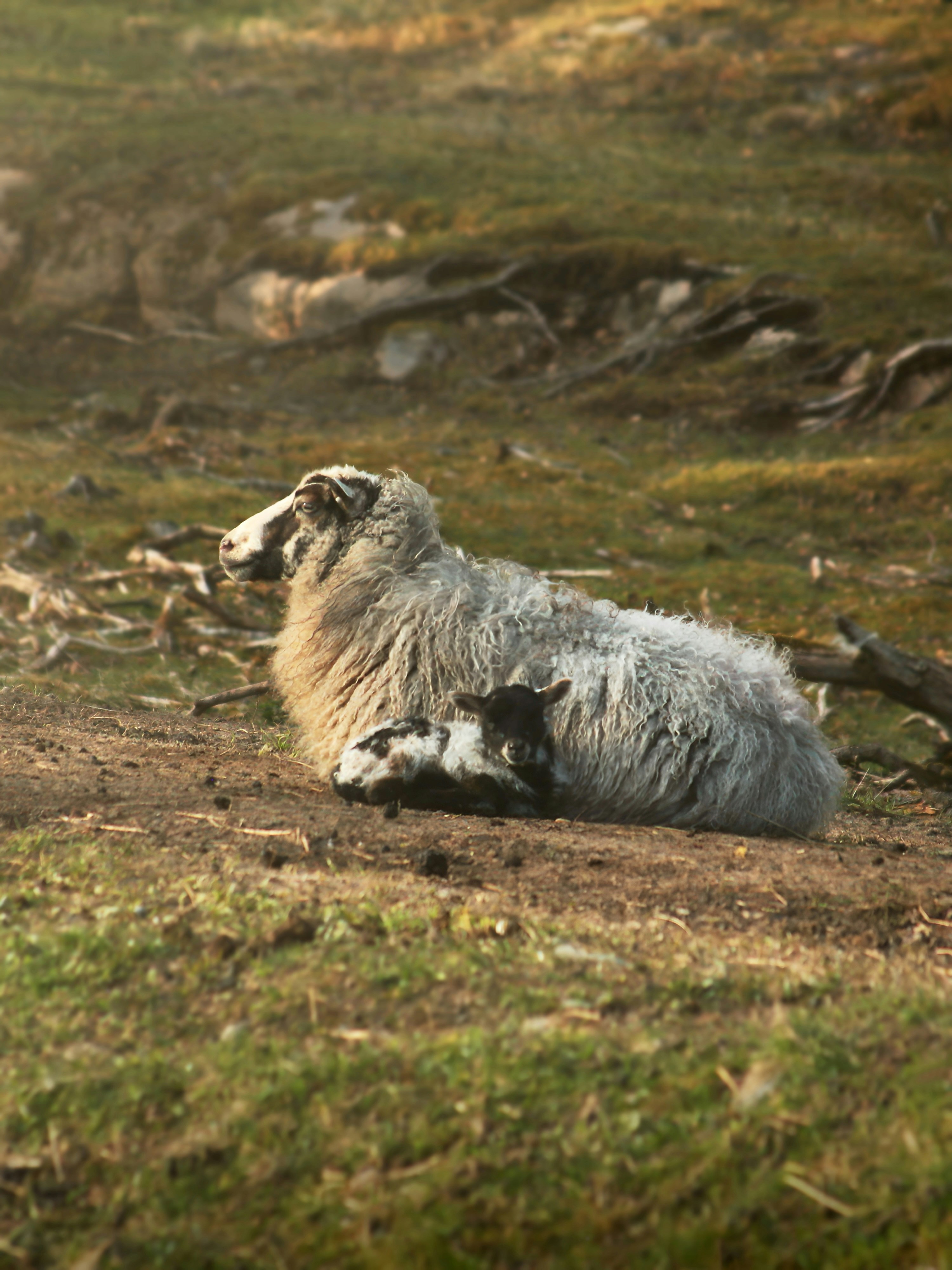 Photo by kristinokarlsen