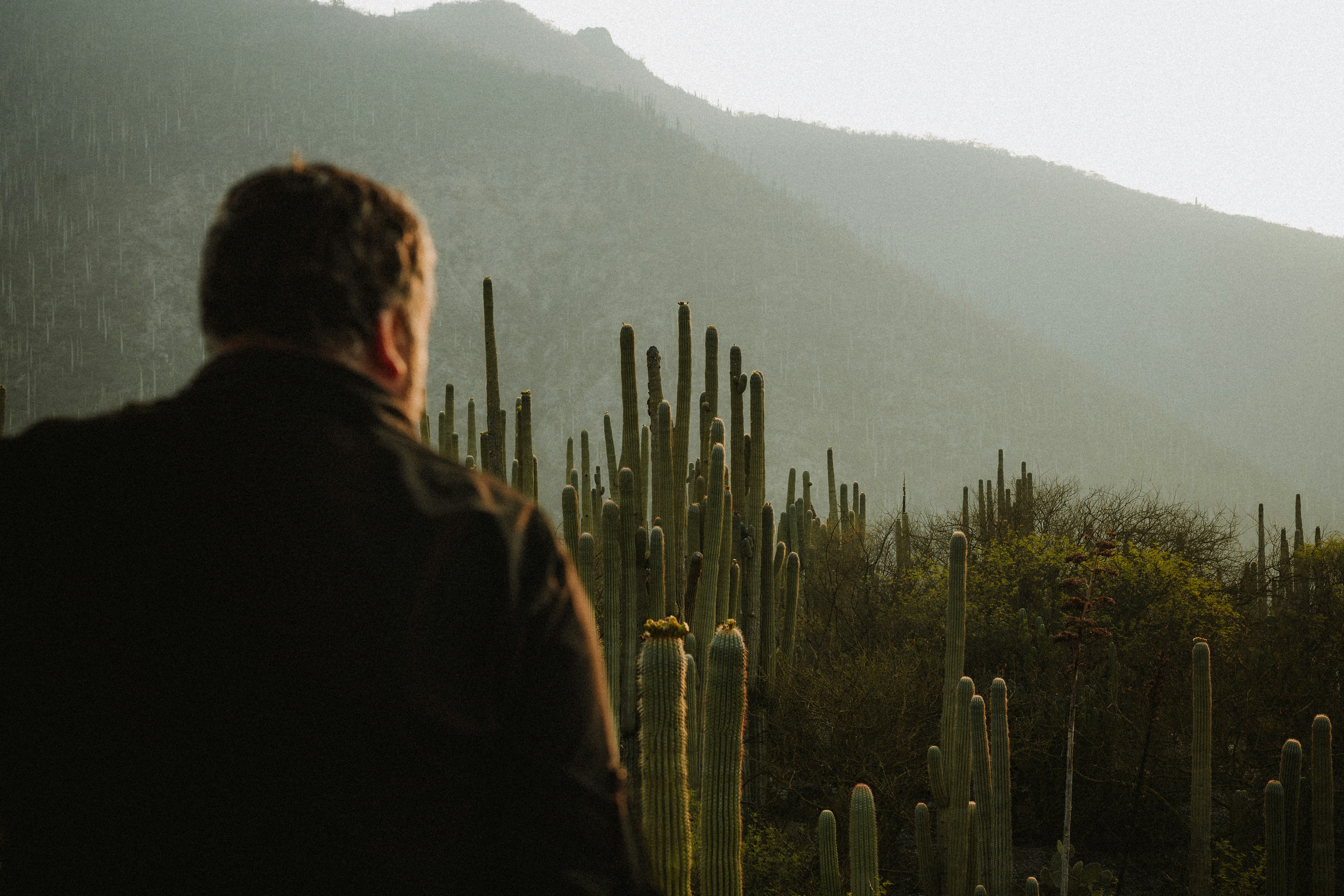 Man watching the sunrise in a desert in Puebla, Mexico