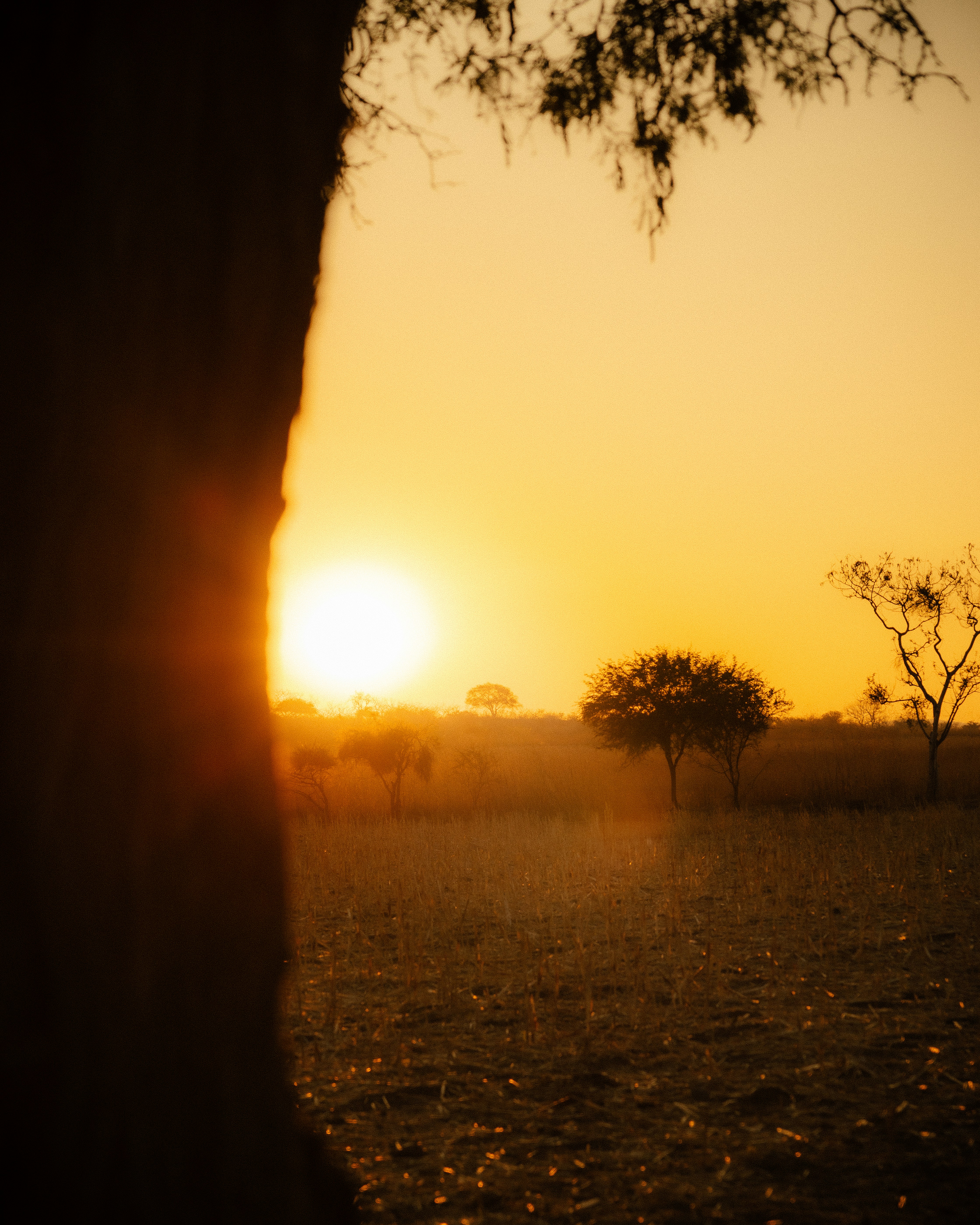 Photo by shot_by_pancake