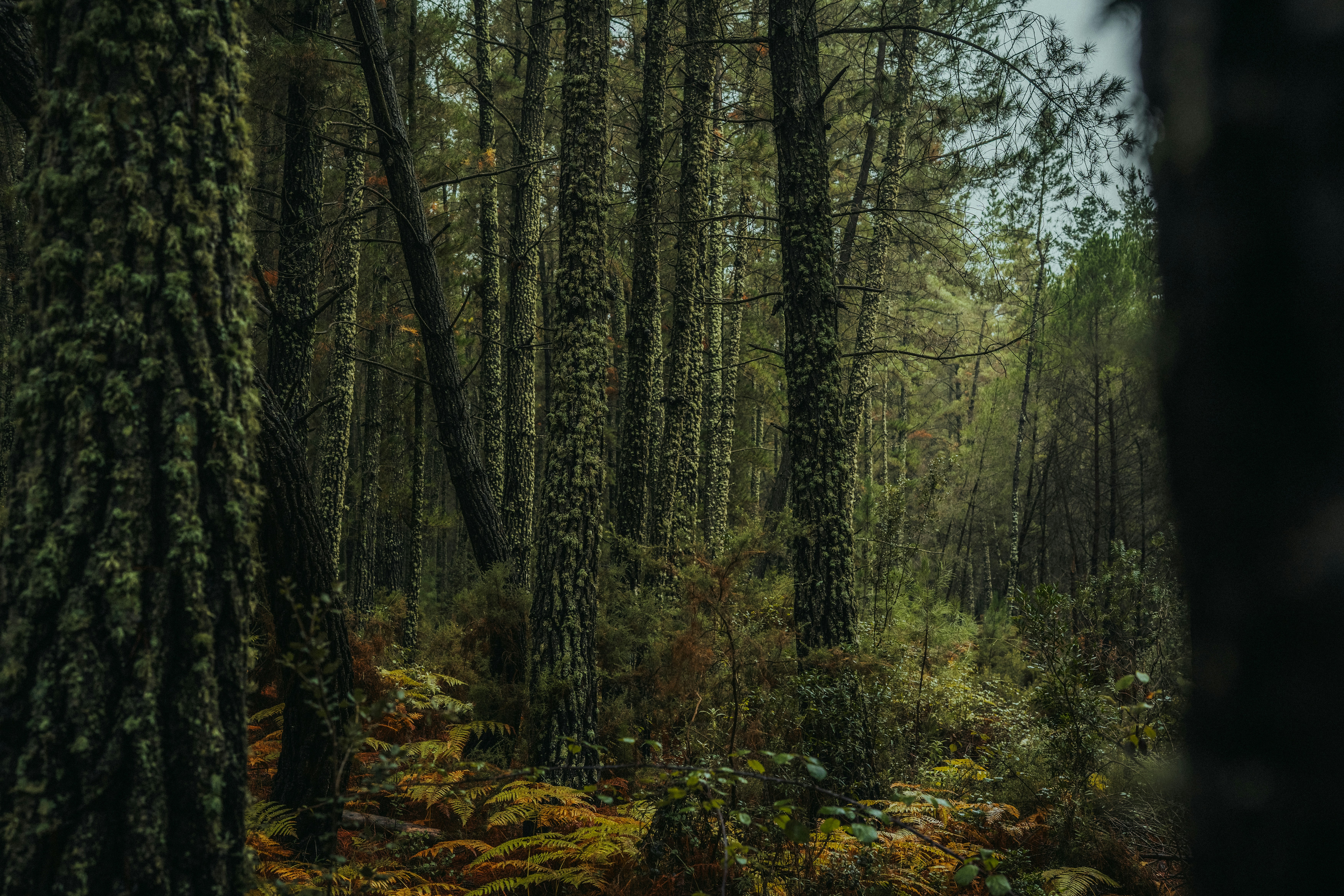 Photo by victor_broch