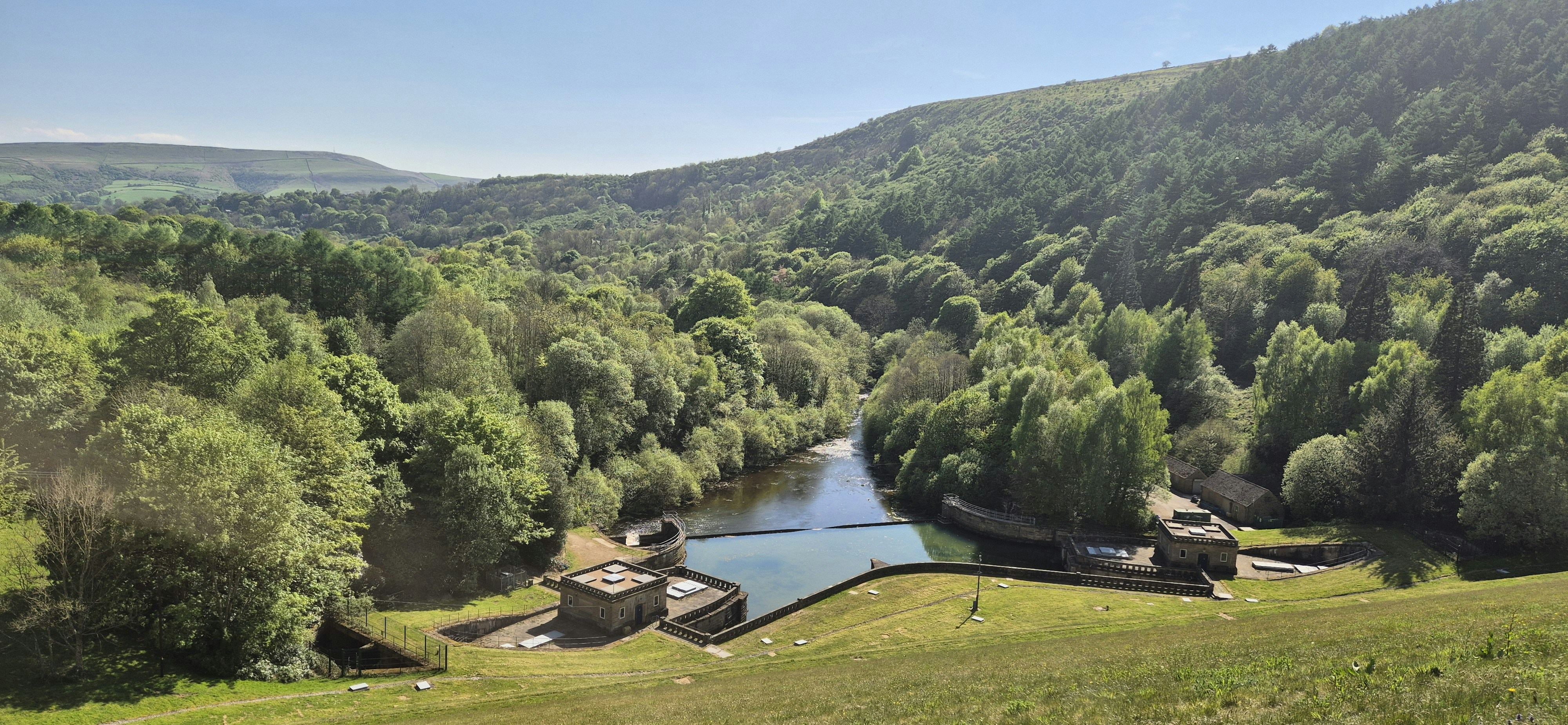 A river flows through a lush green forest.