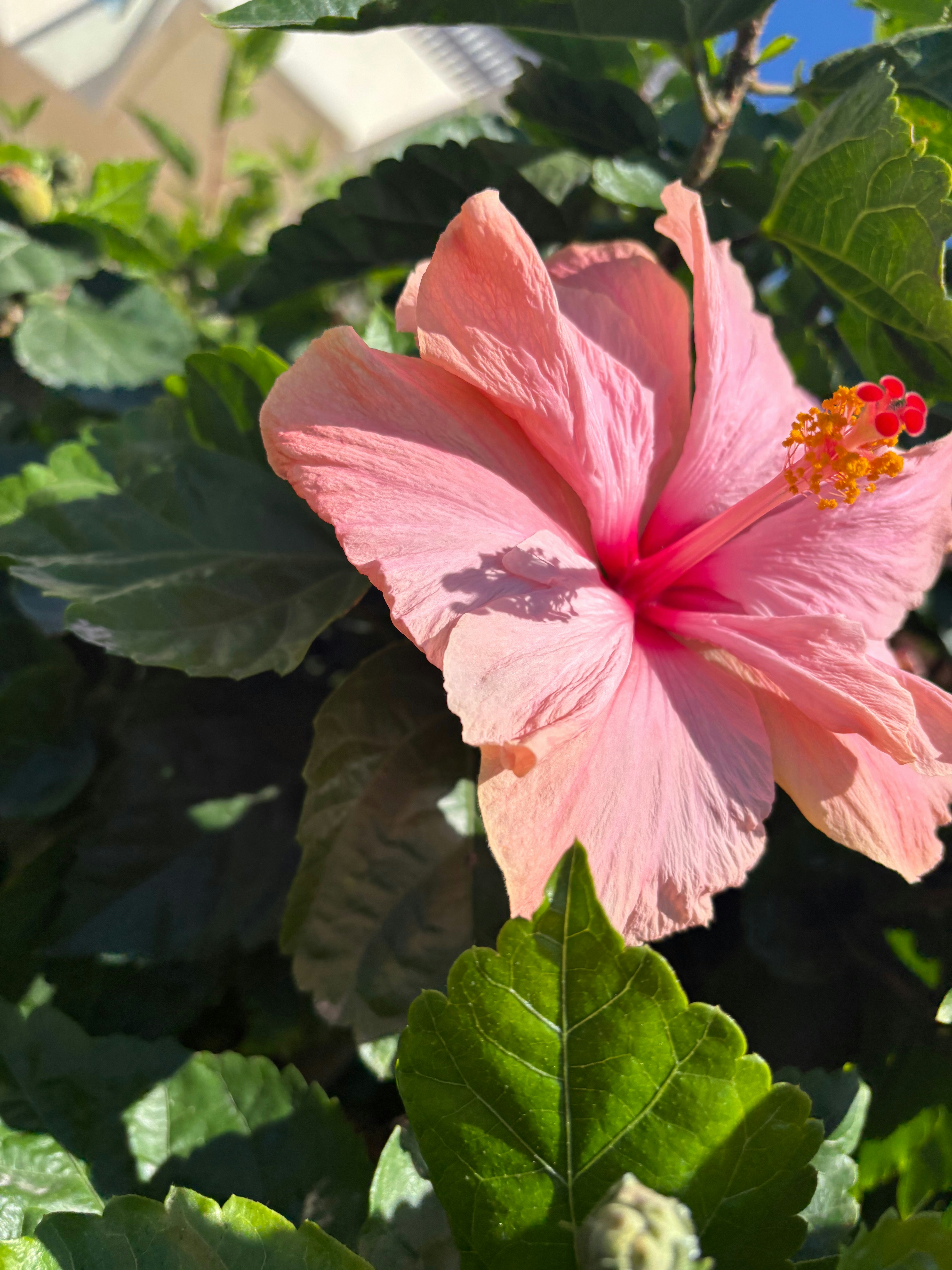 Photo by beutifulnature