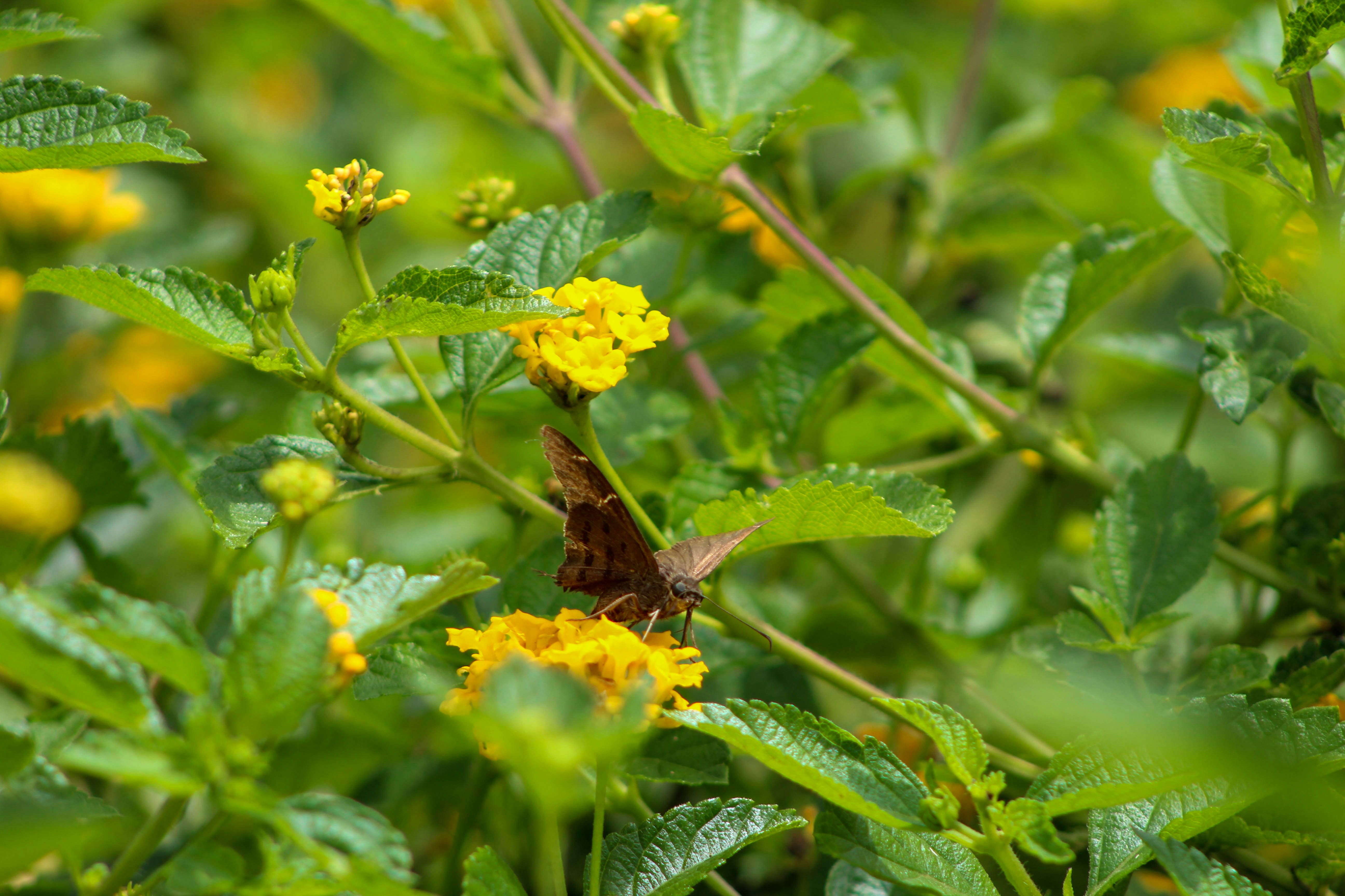 Photo by eric_silva821