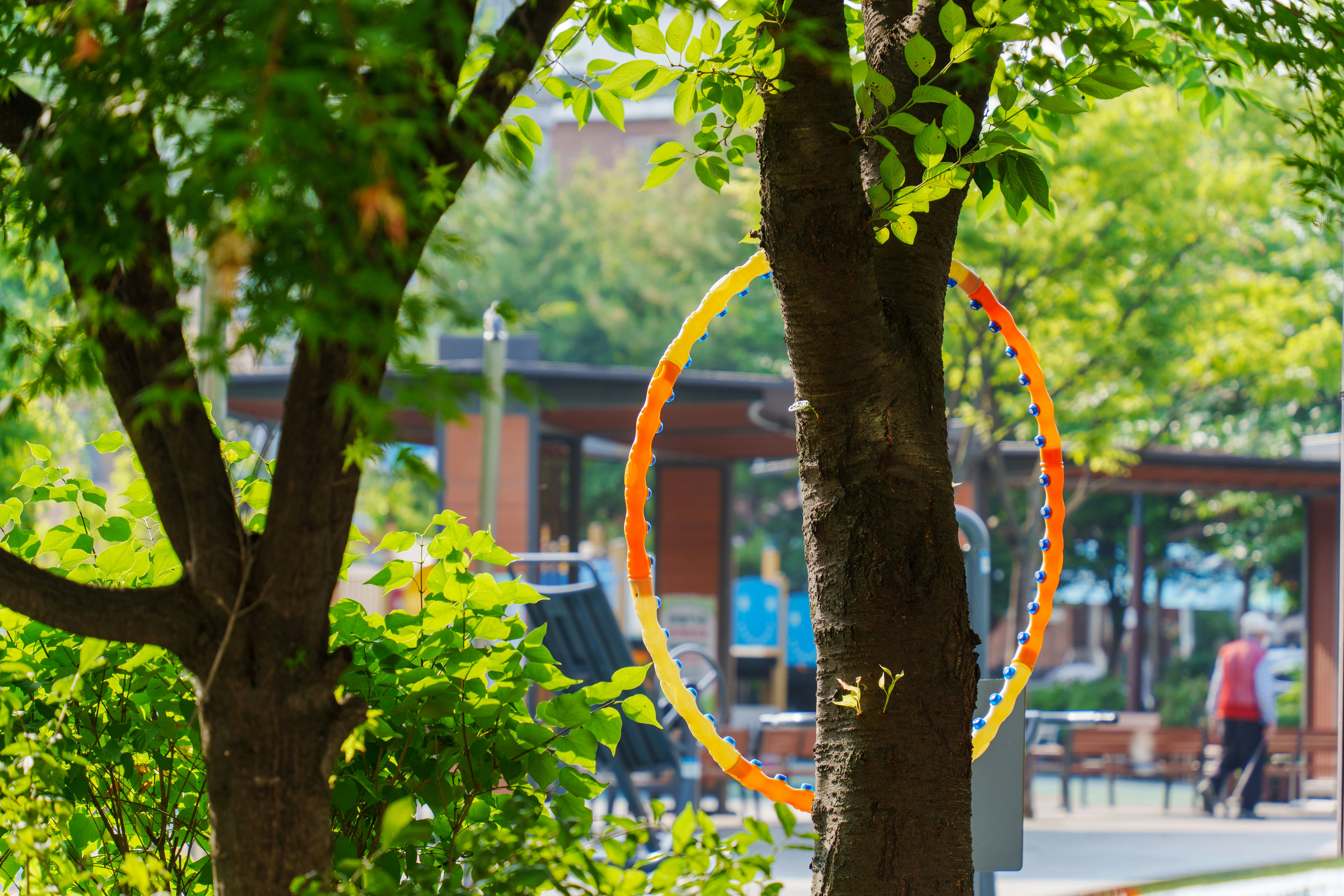 A hula hoop rests in a park.