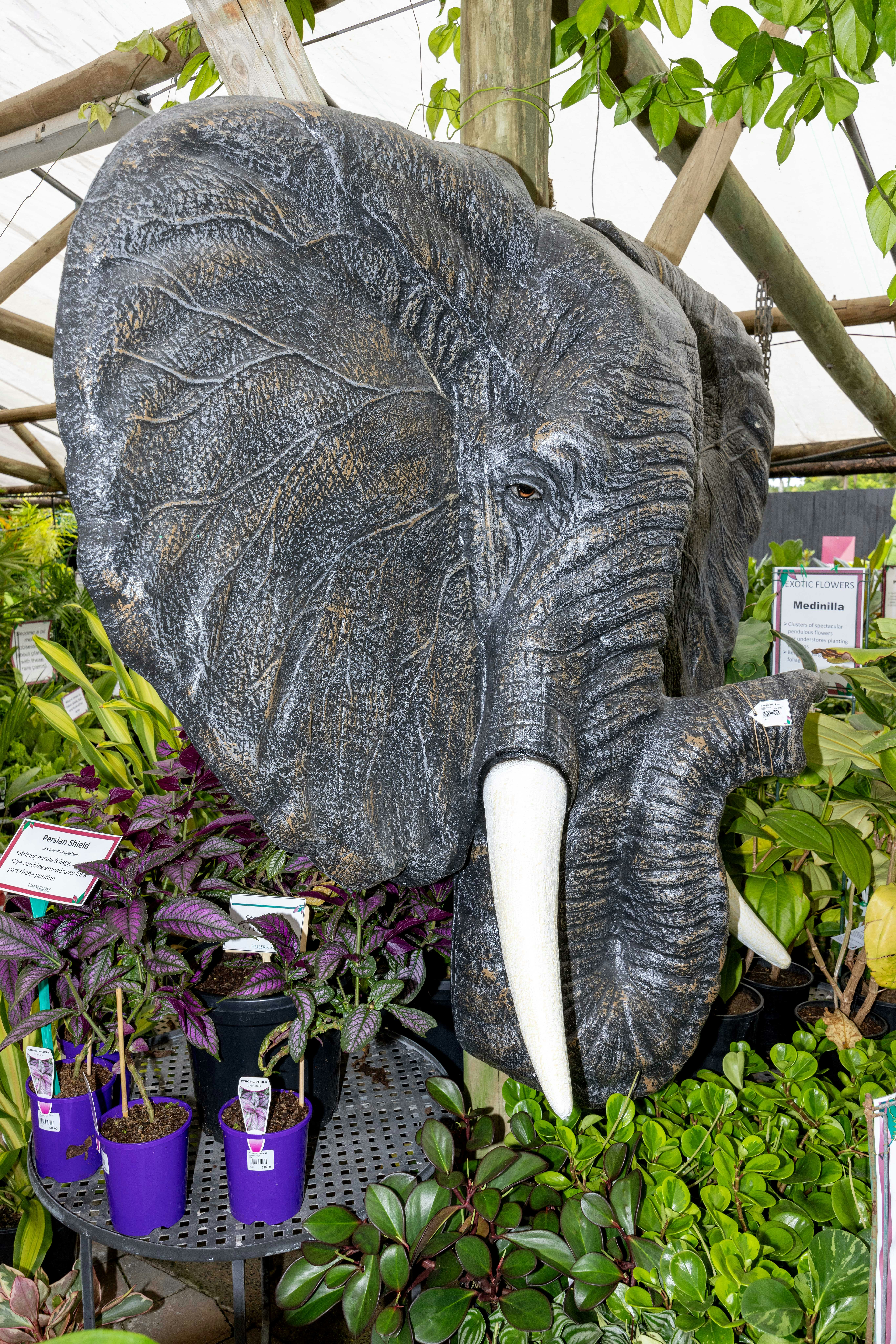 Large elephant statue surrounded by lush plants.