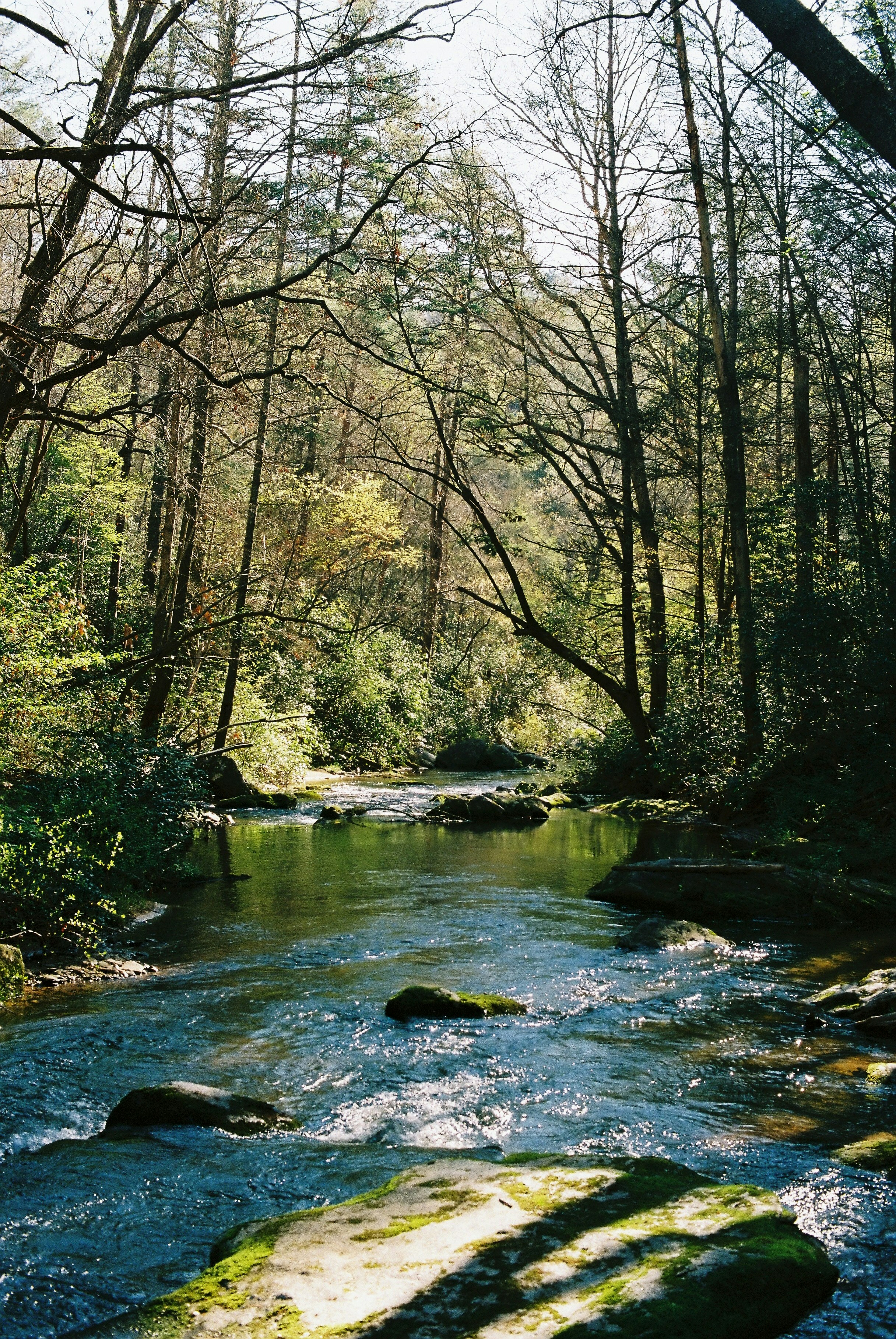 Photo by attaliehart