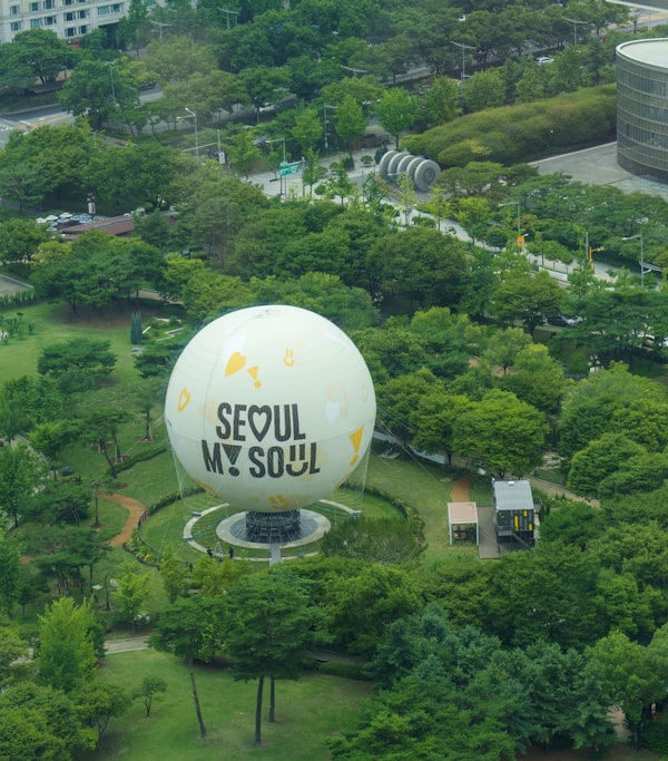 A seoul, south korea landmark in a park.