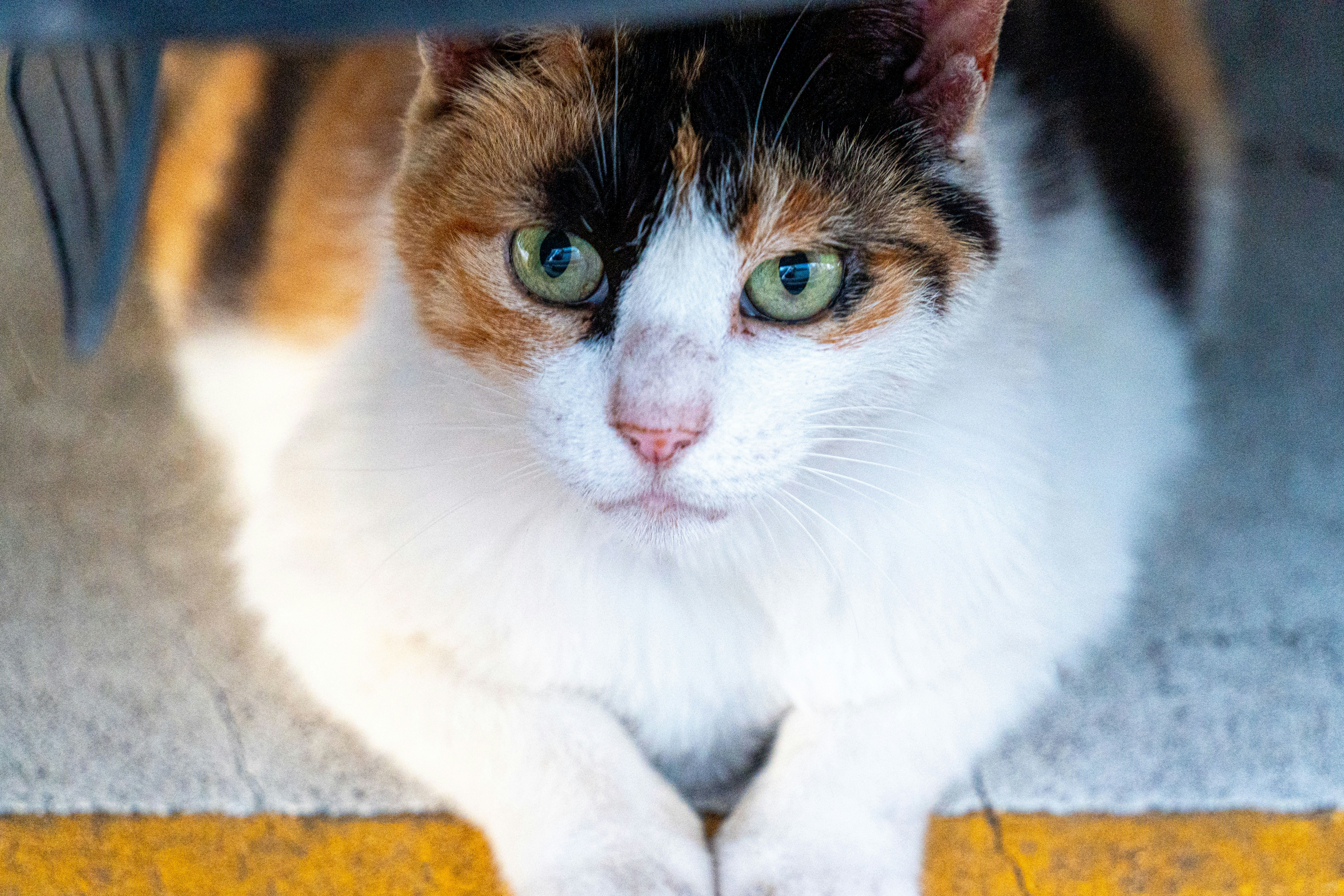 Conclusion (image credits: unsplash)