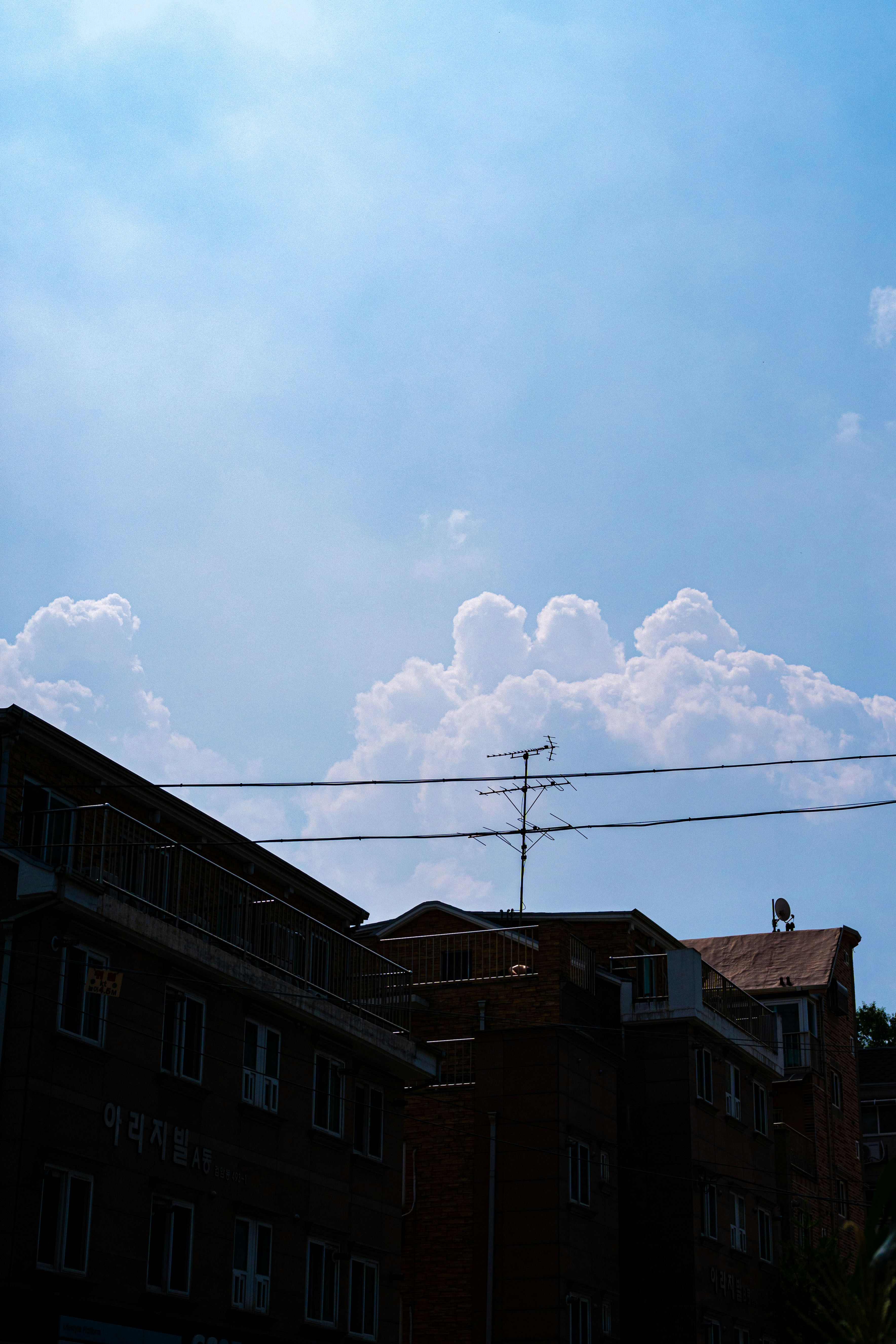 Photo by sobalc