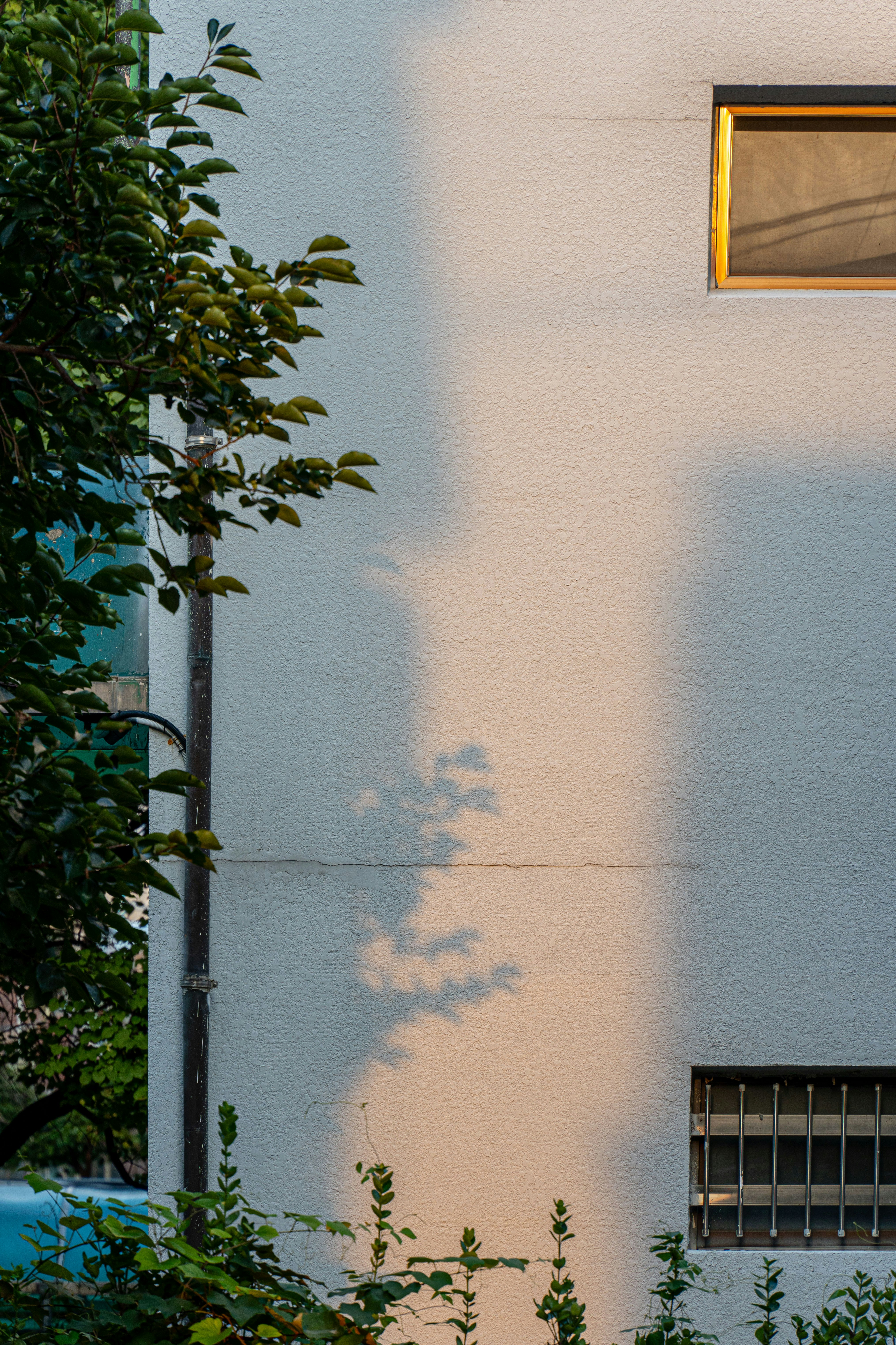 Photo by sobalc