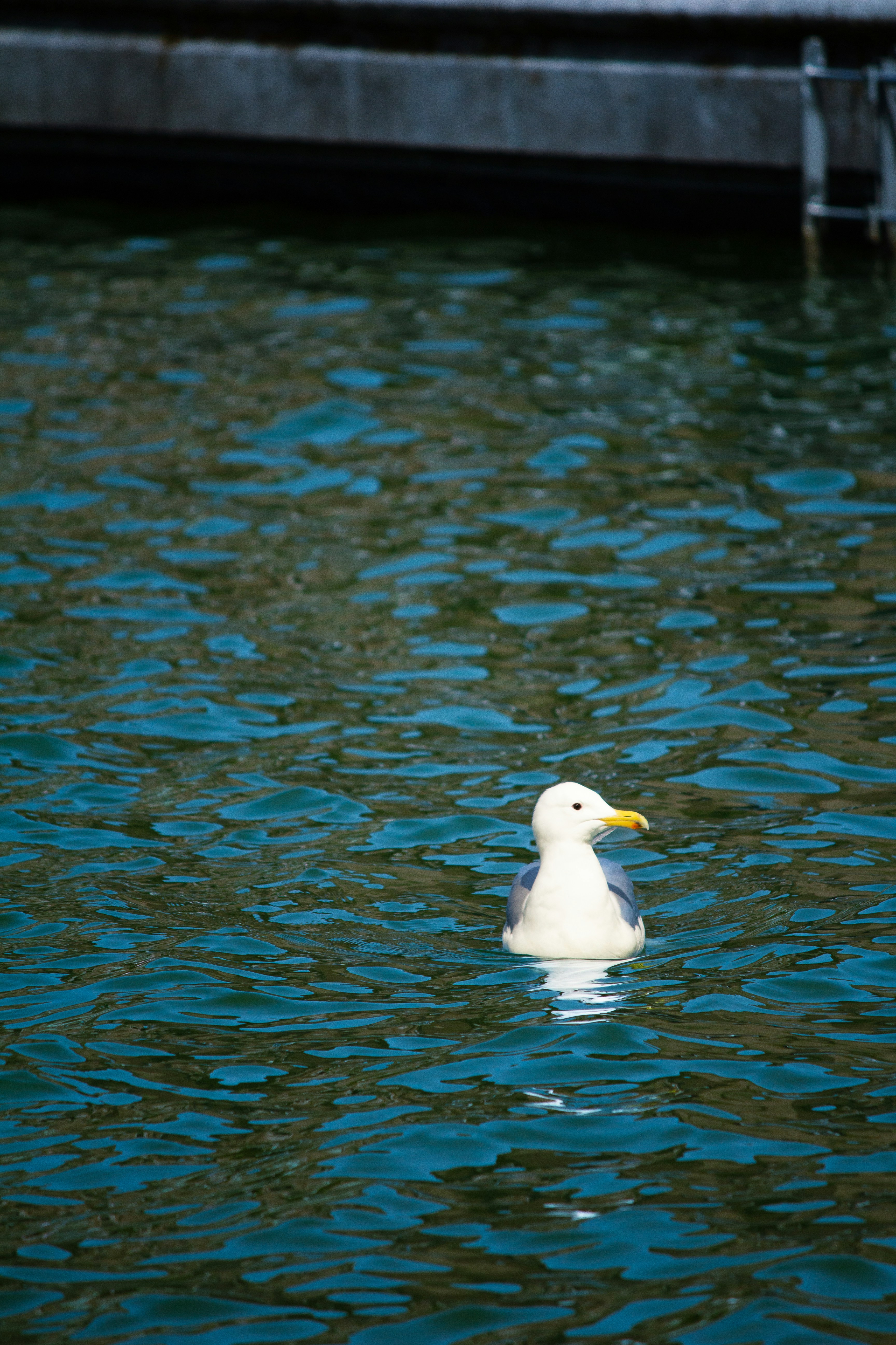Photo by spaacemaan