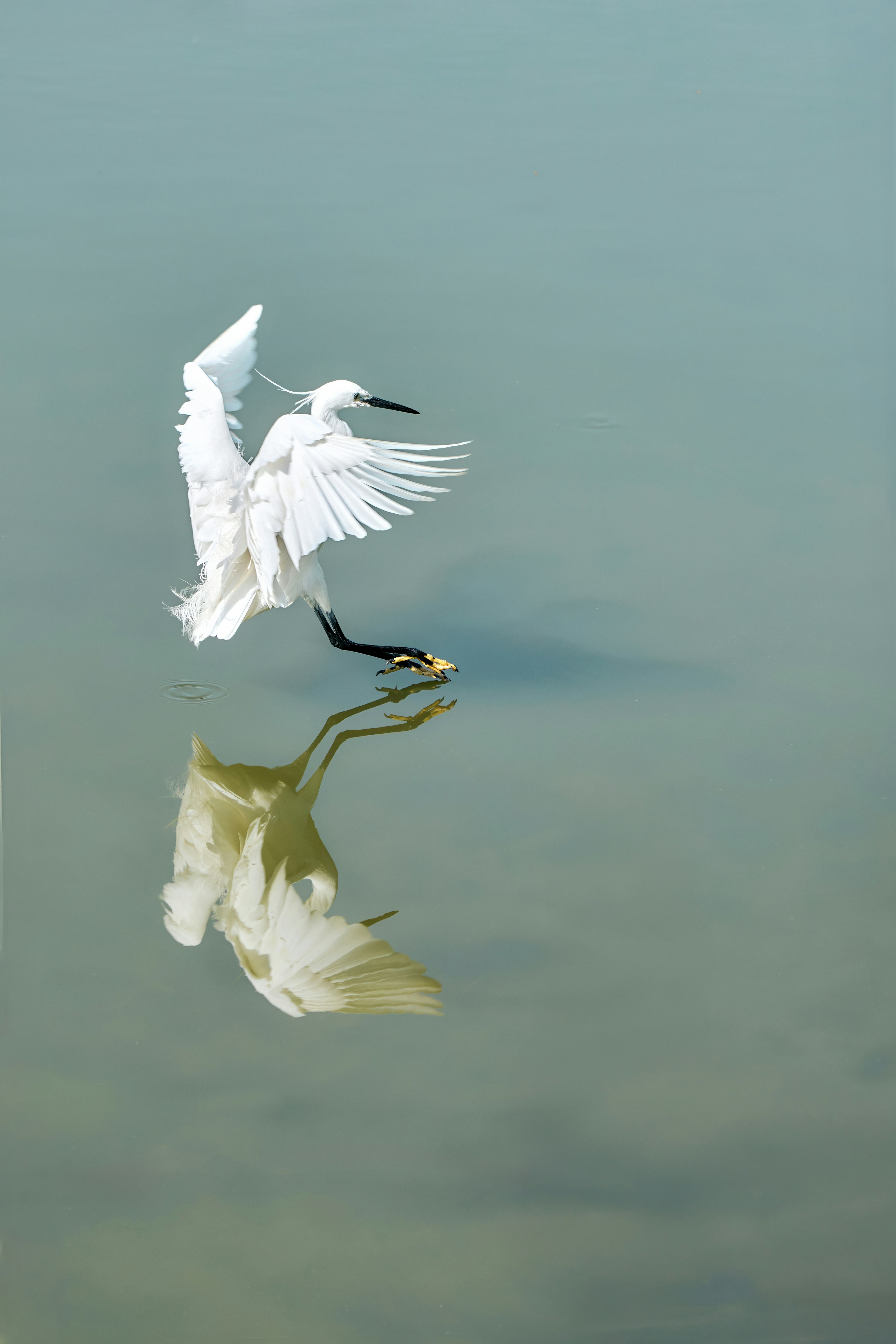 Photo by stbuddyp