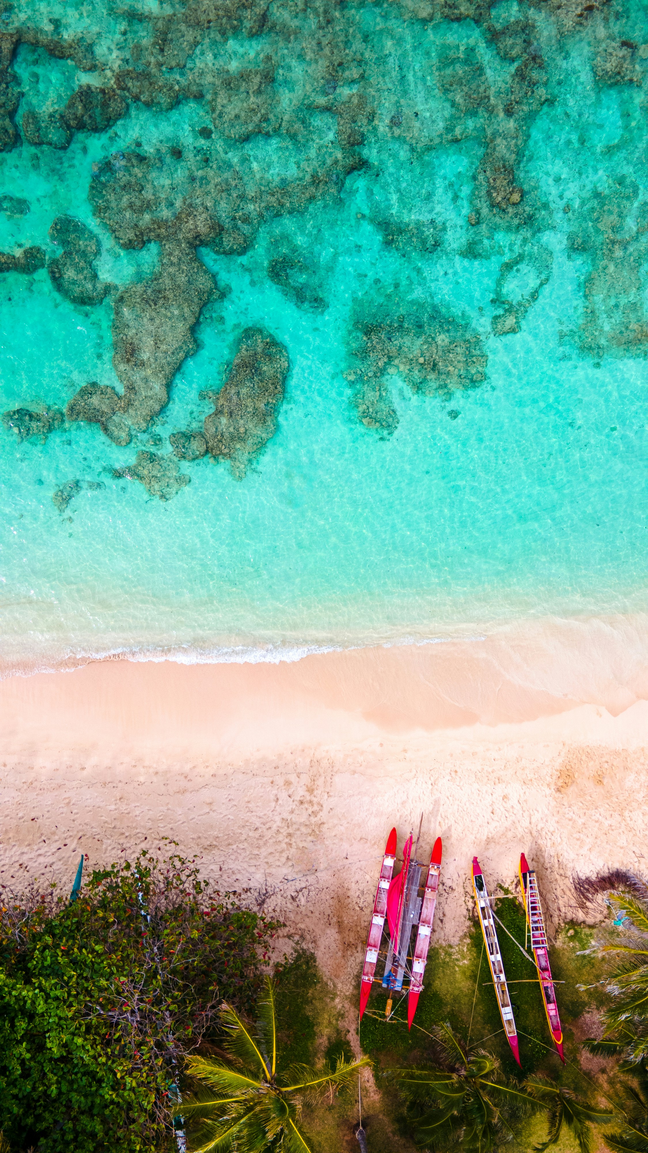 Photo by casunshine0508