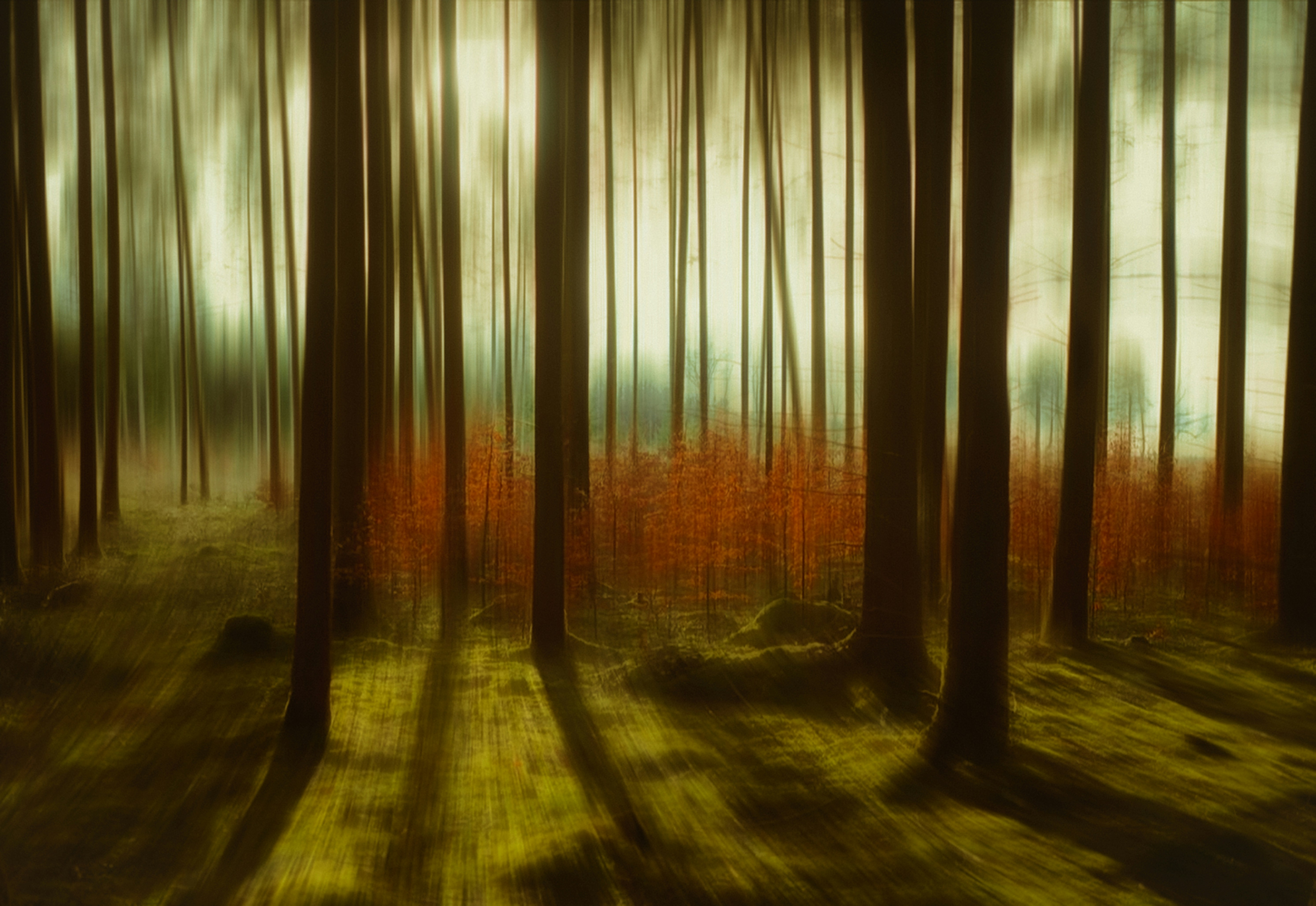 Photo by itsomidarmin