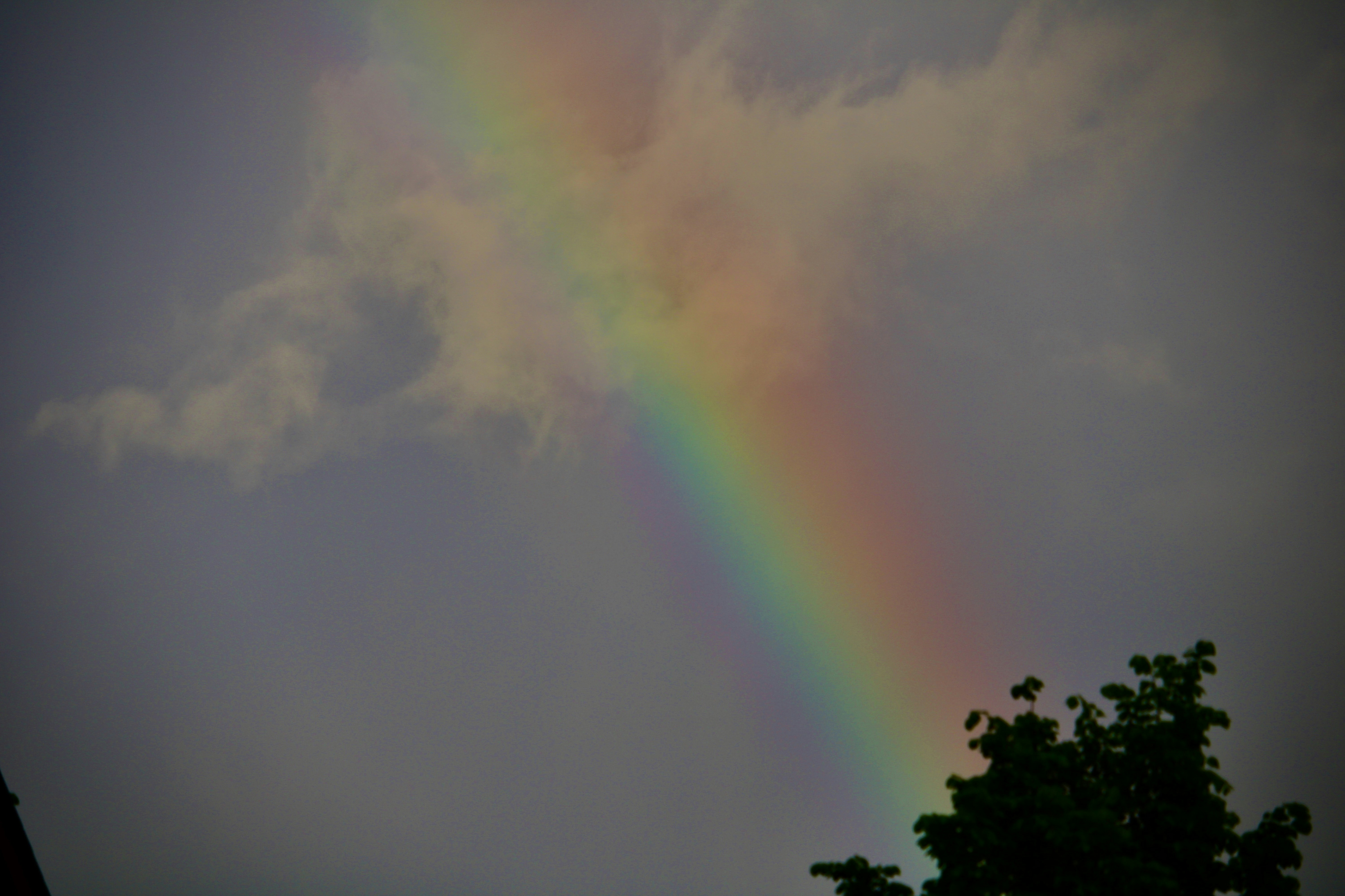 Photo by xzavierdownes