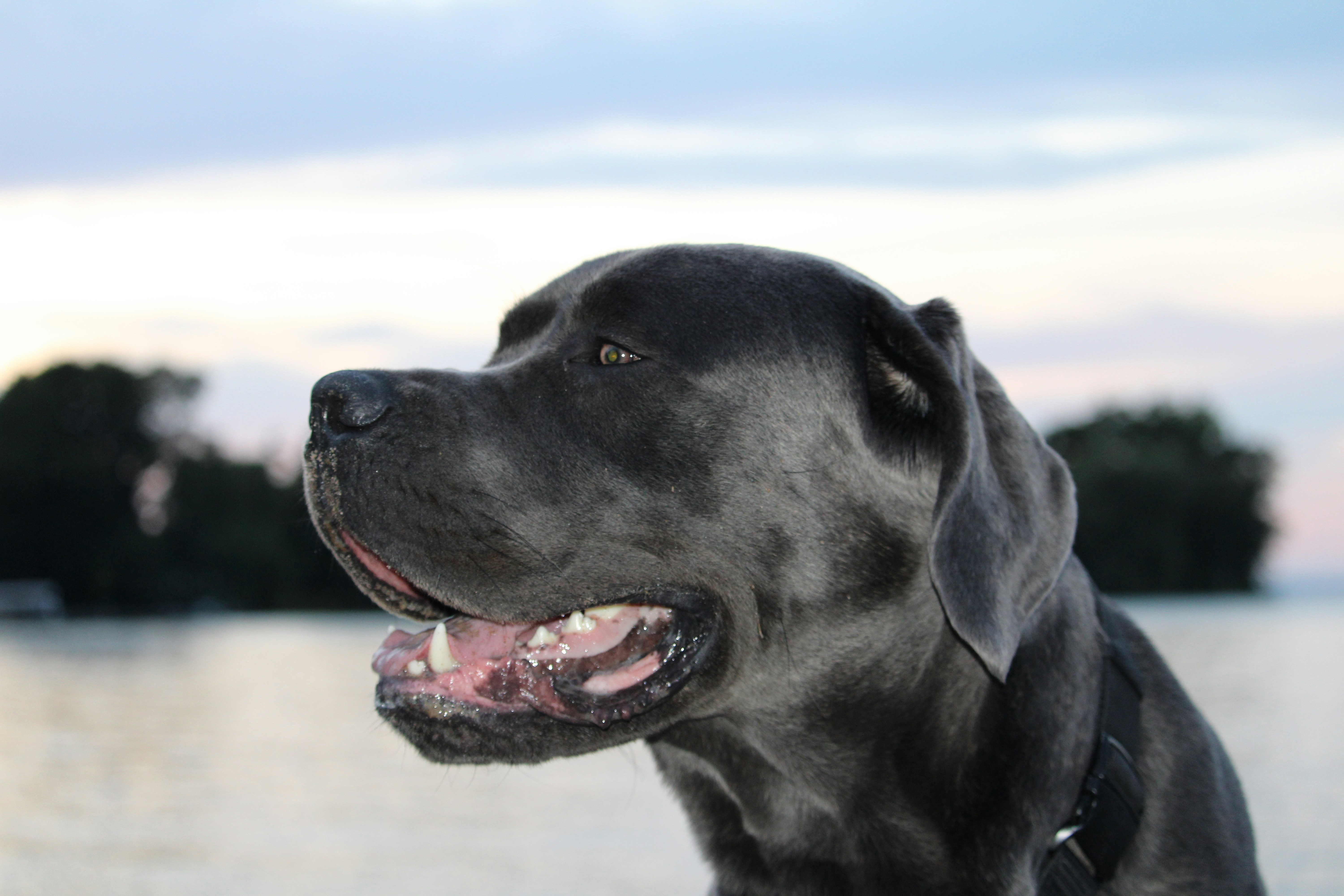 Photo by xzavierdownes