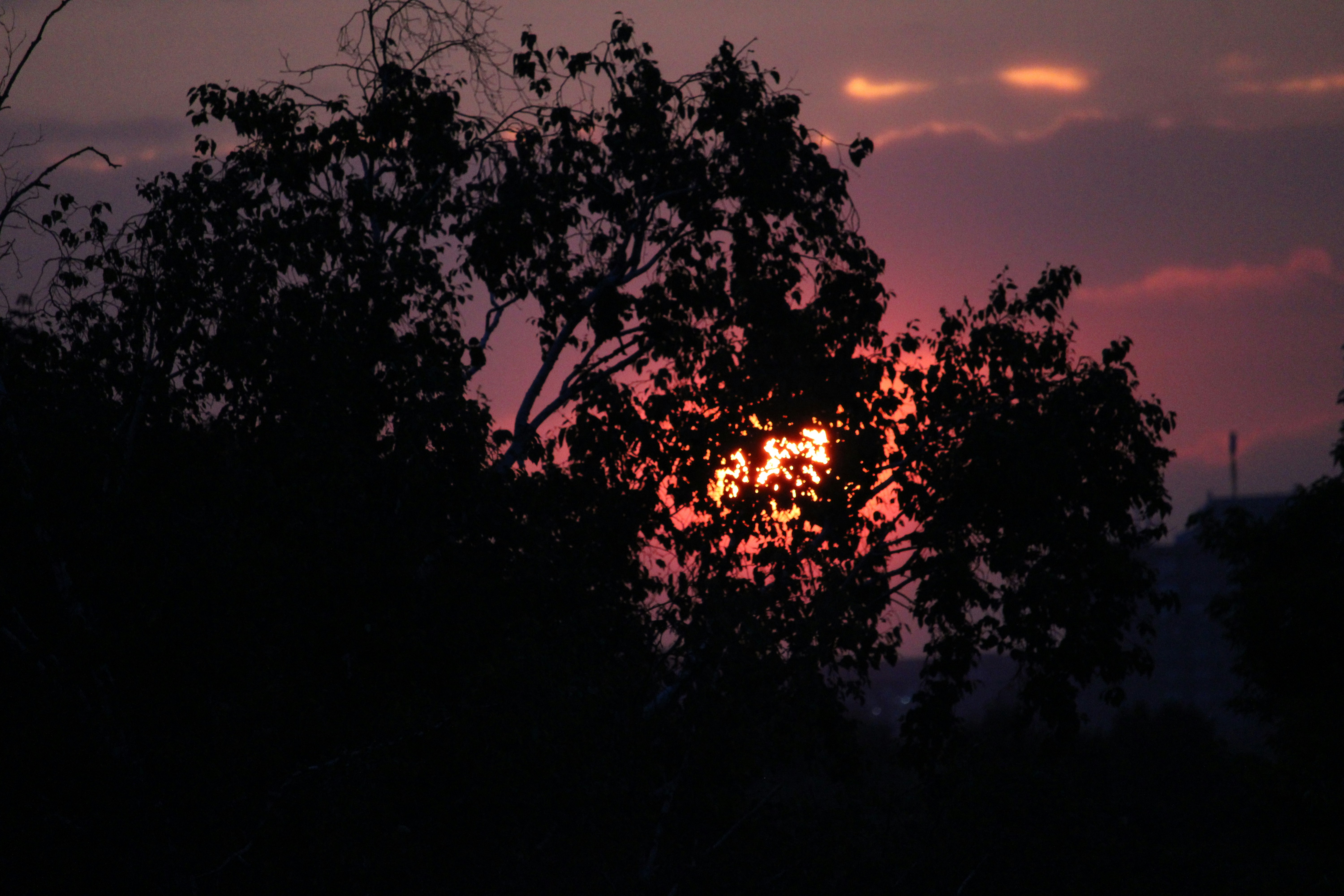 Photo by xzavierdownes