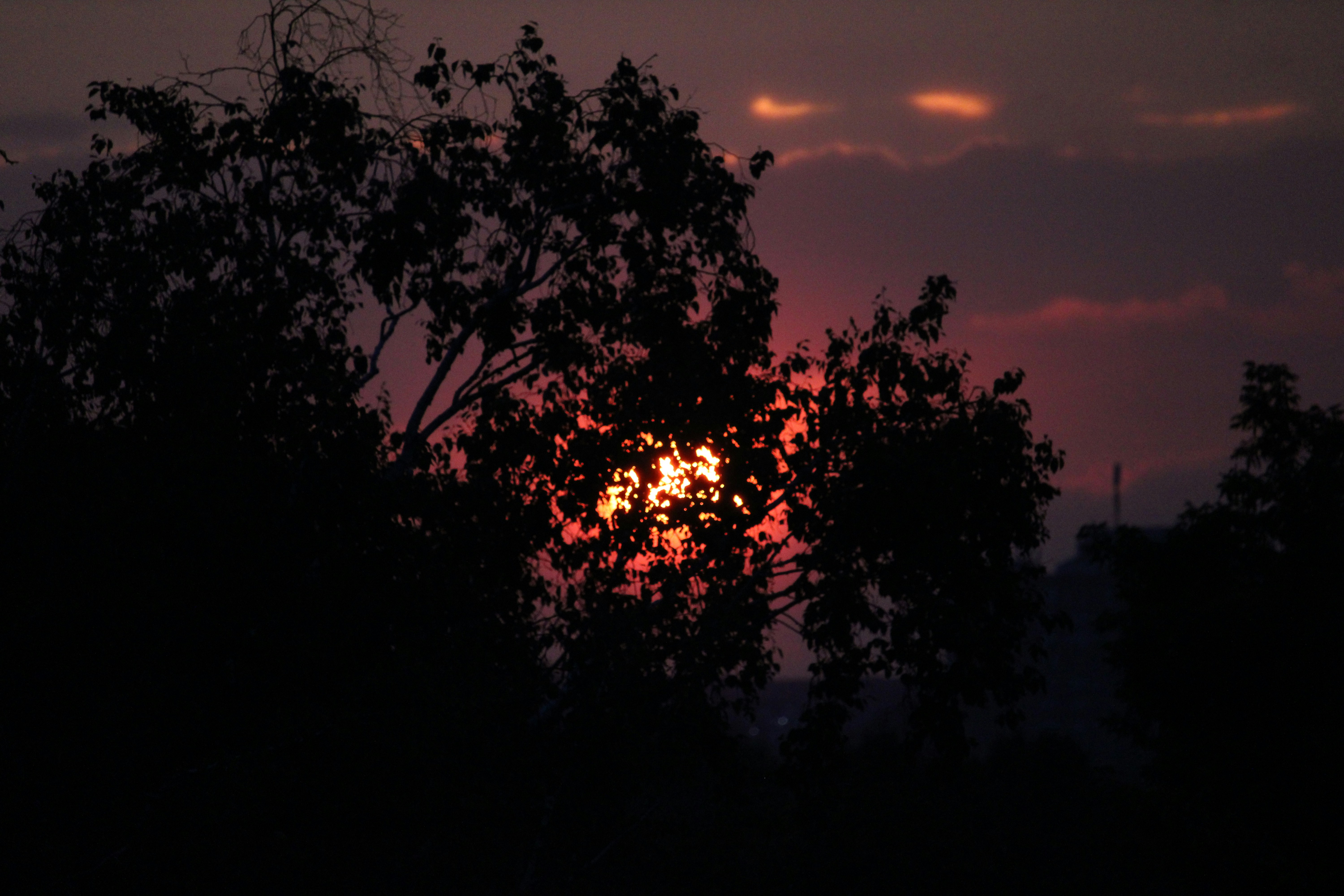 Photo by xzavierdownes