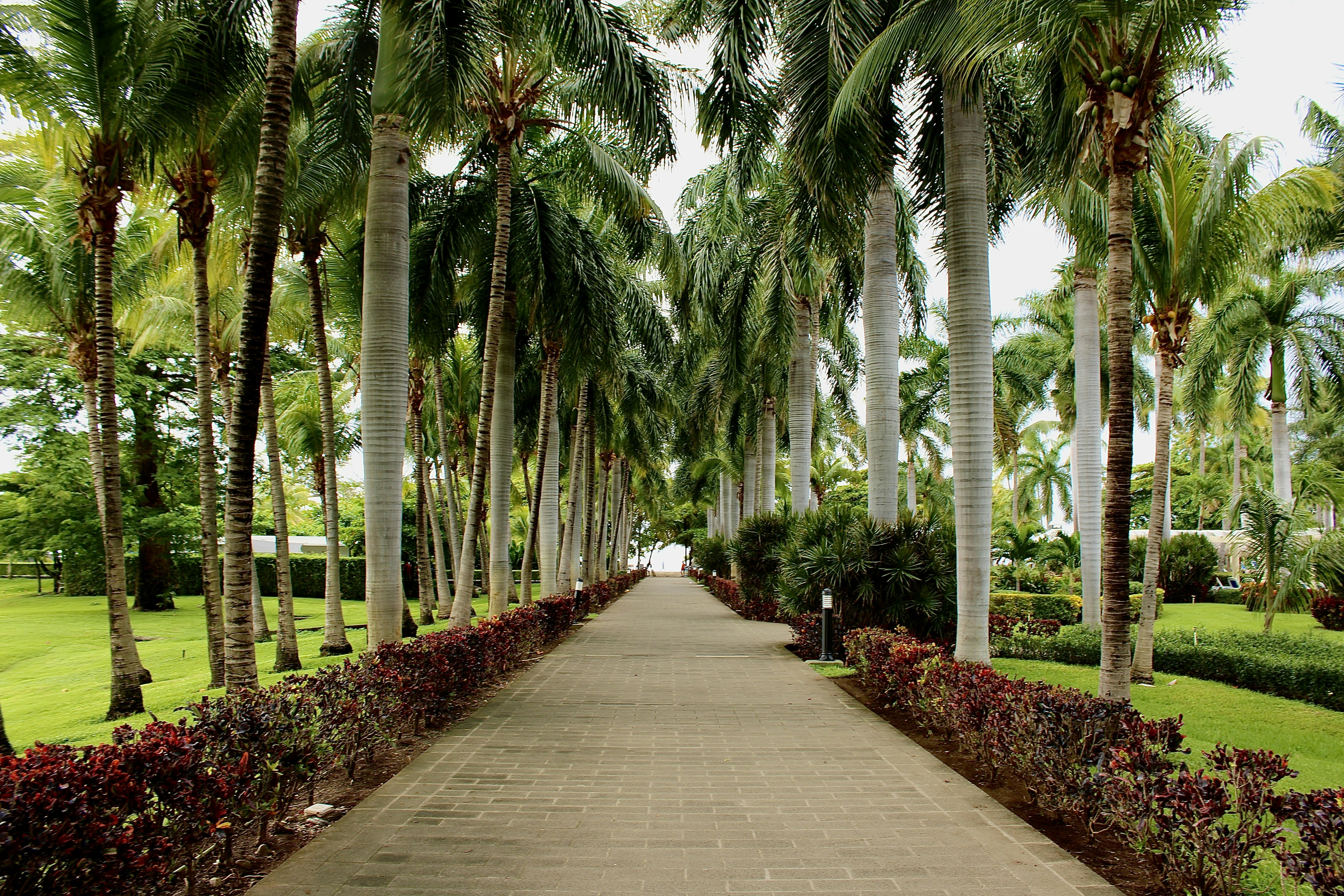 Photo by xzavierdownes