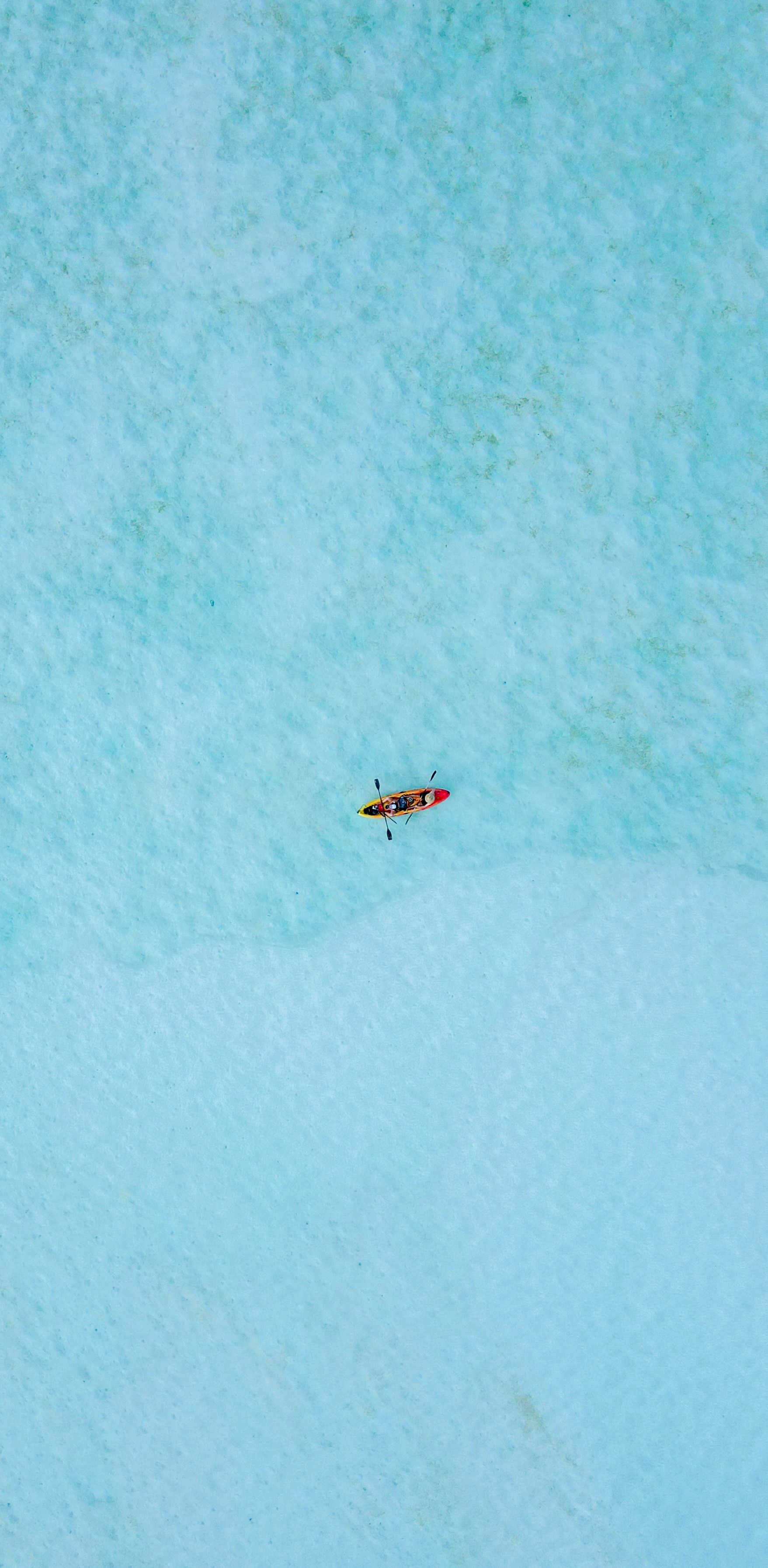 Photo by casunshine0508