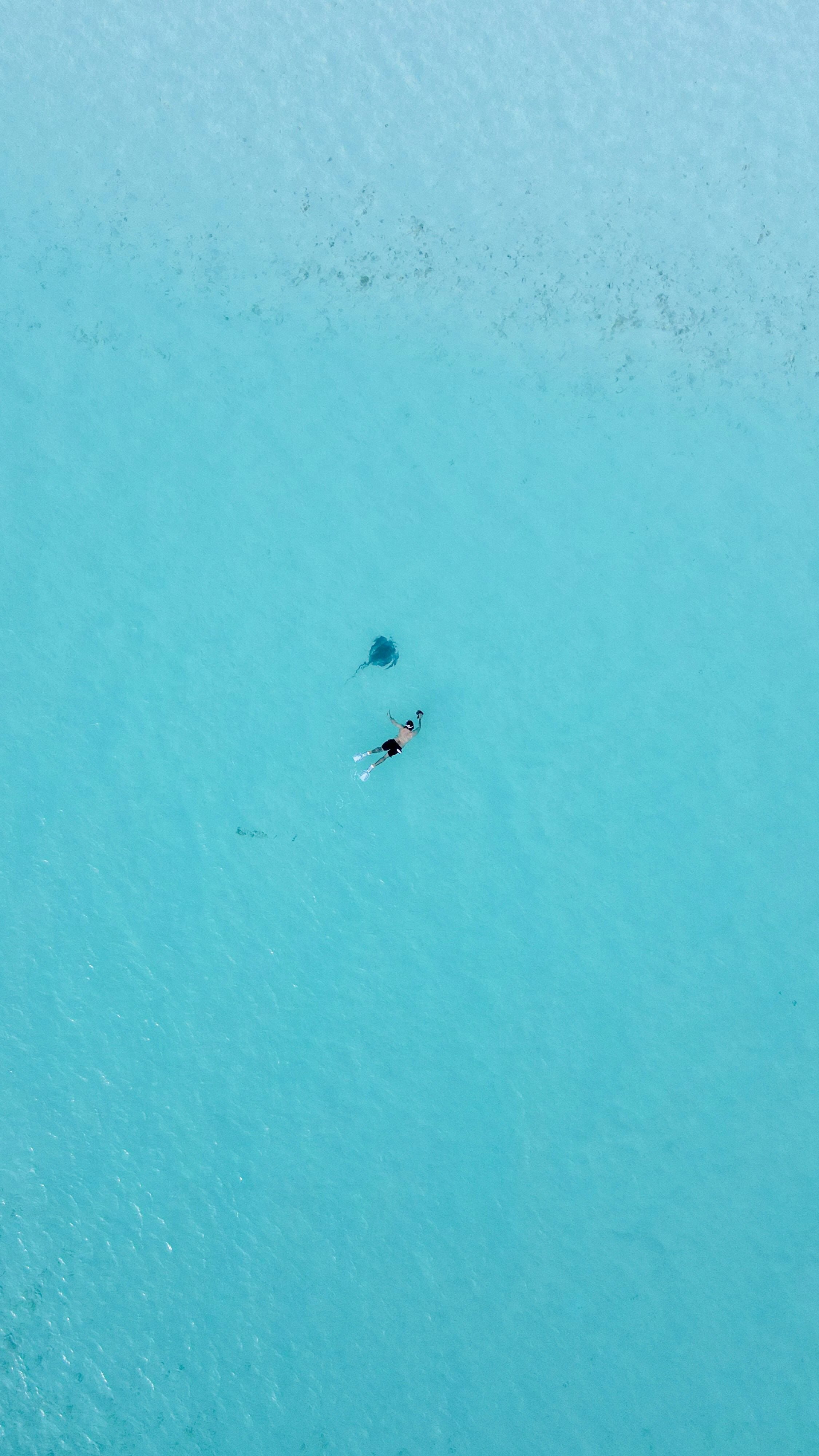 Photo by casunshine0508