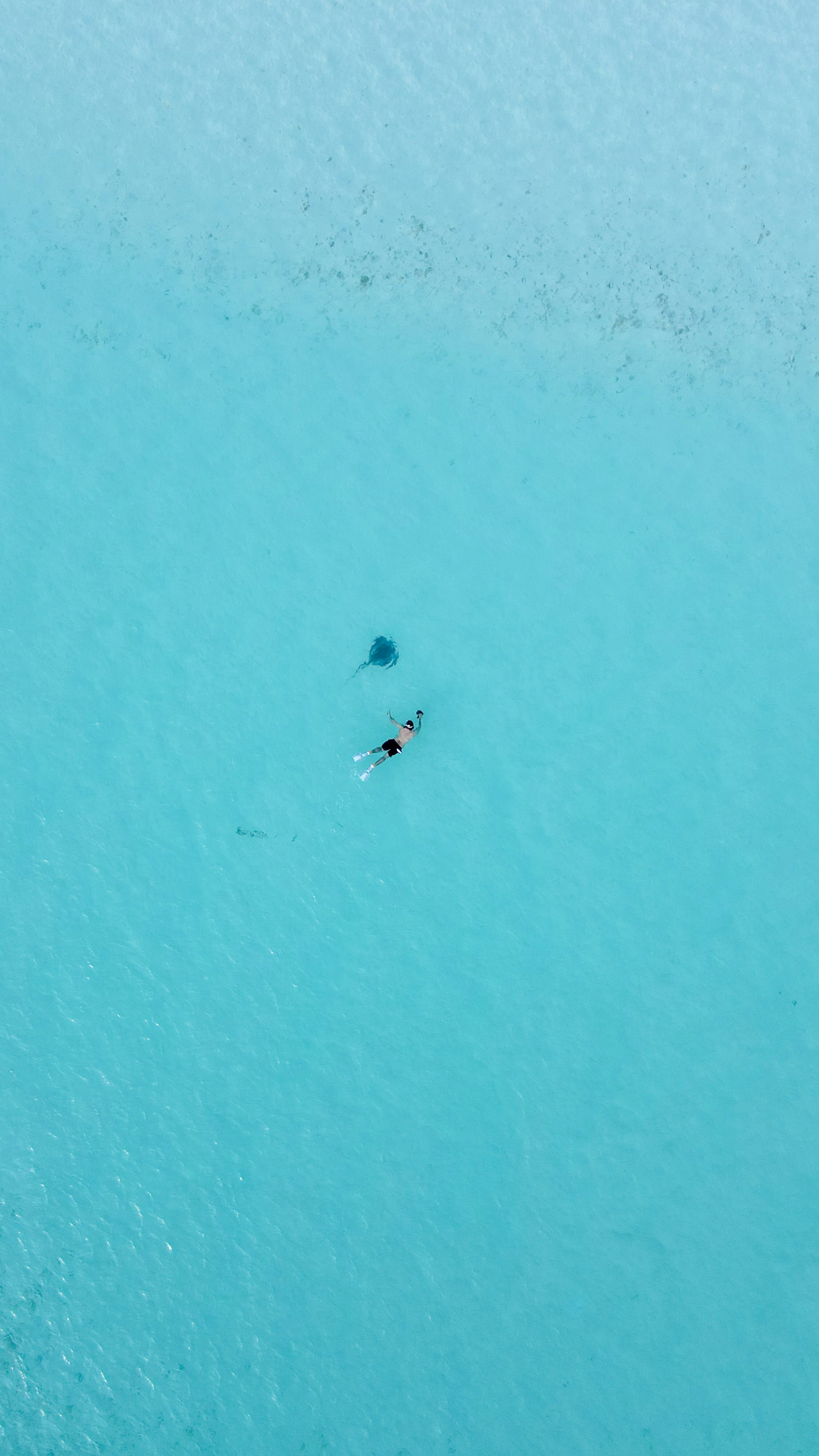 A snorkeler swims with a ray in turquoise water.